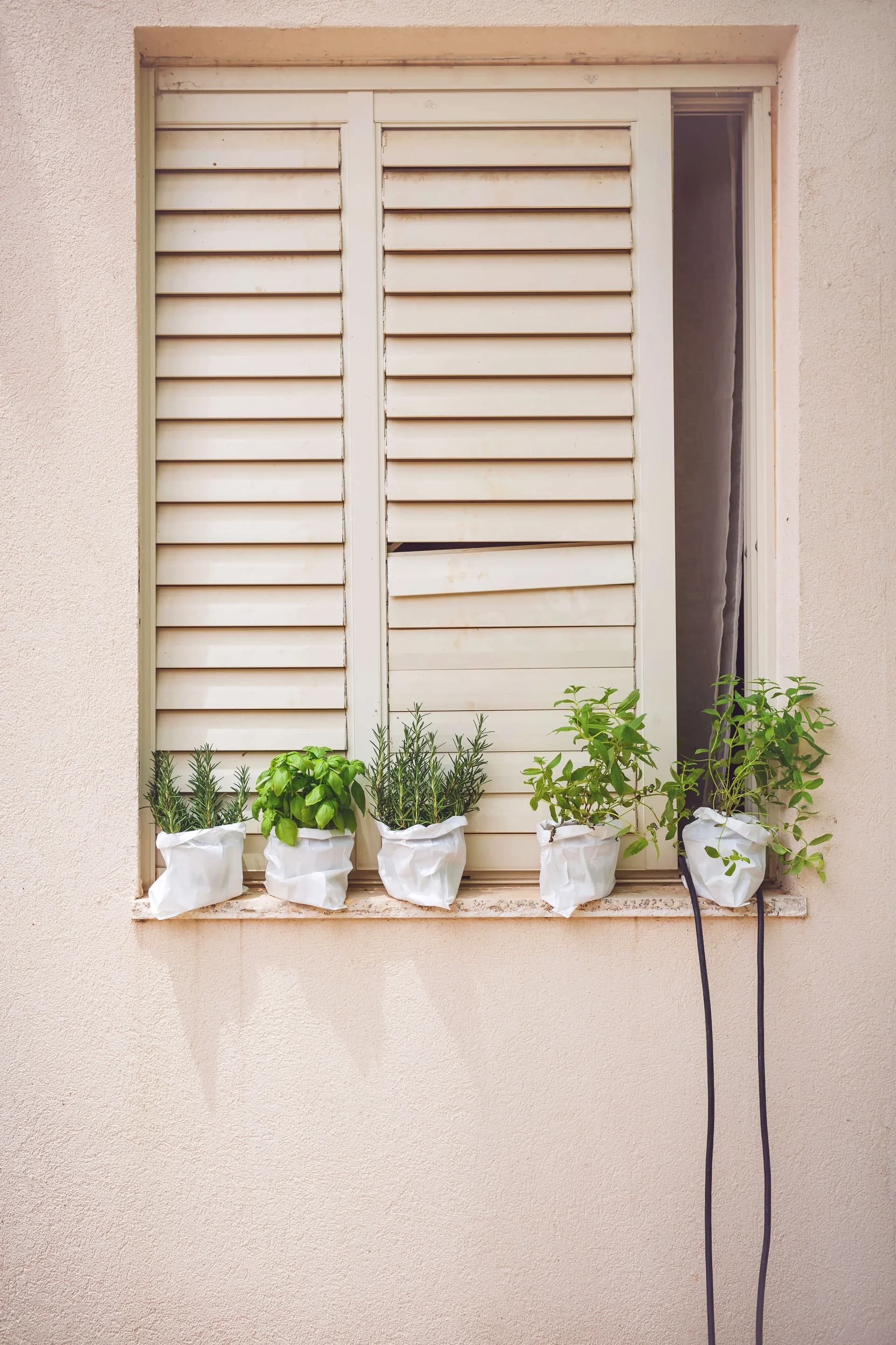 A Window