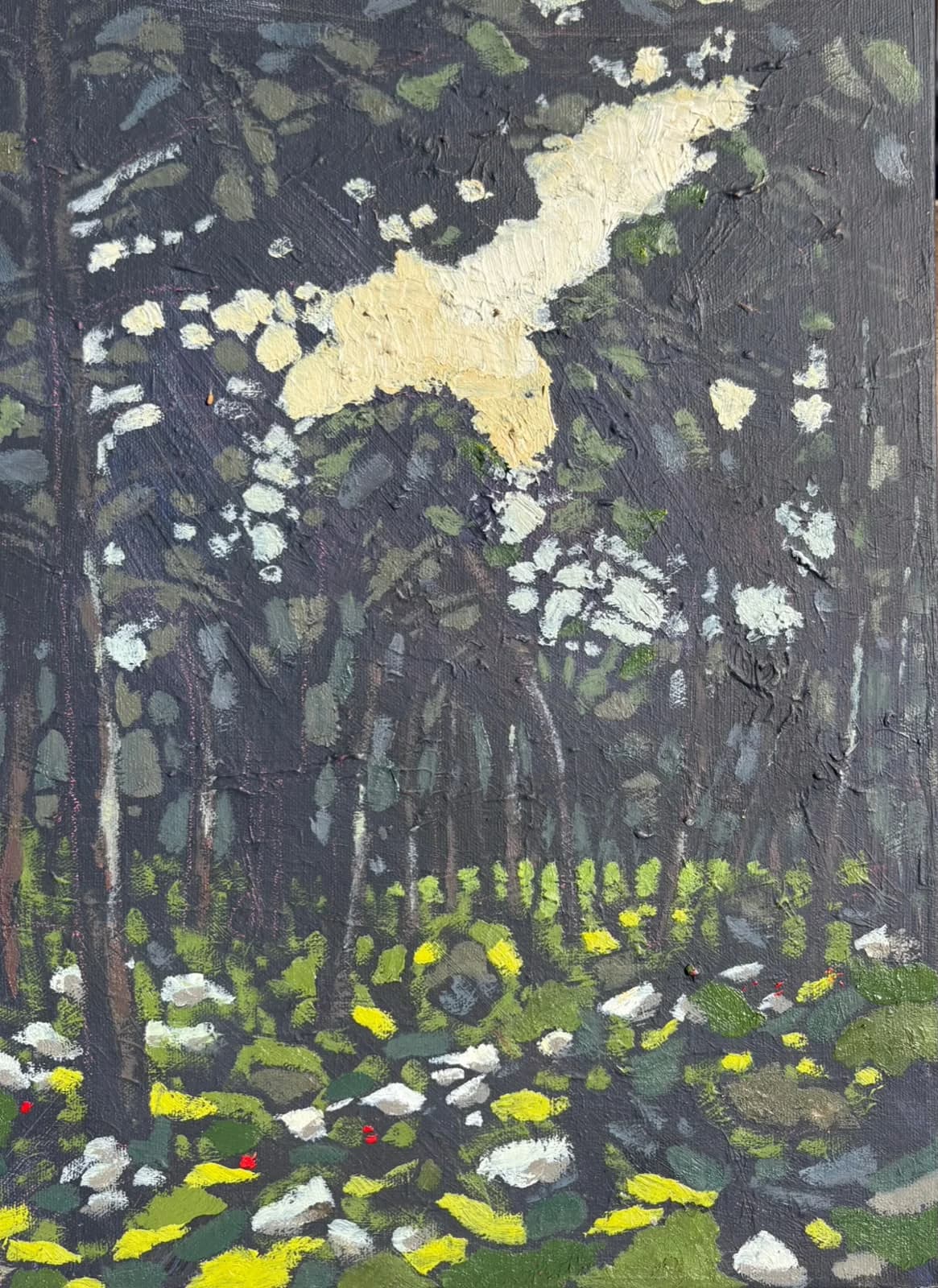 Forest  sunset
