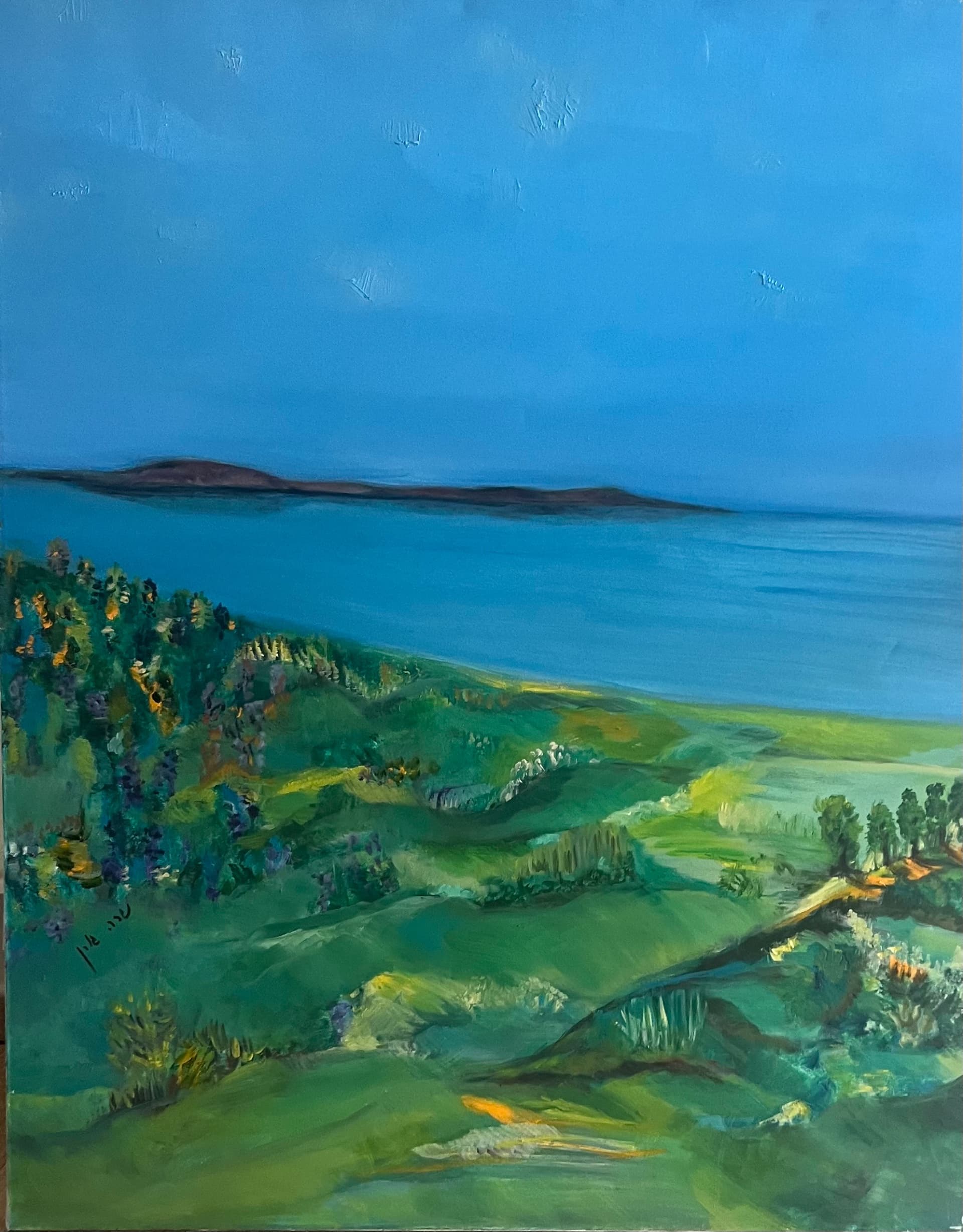 Green Shore, Open Sky