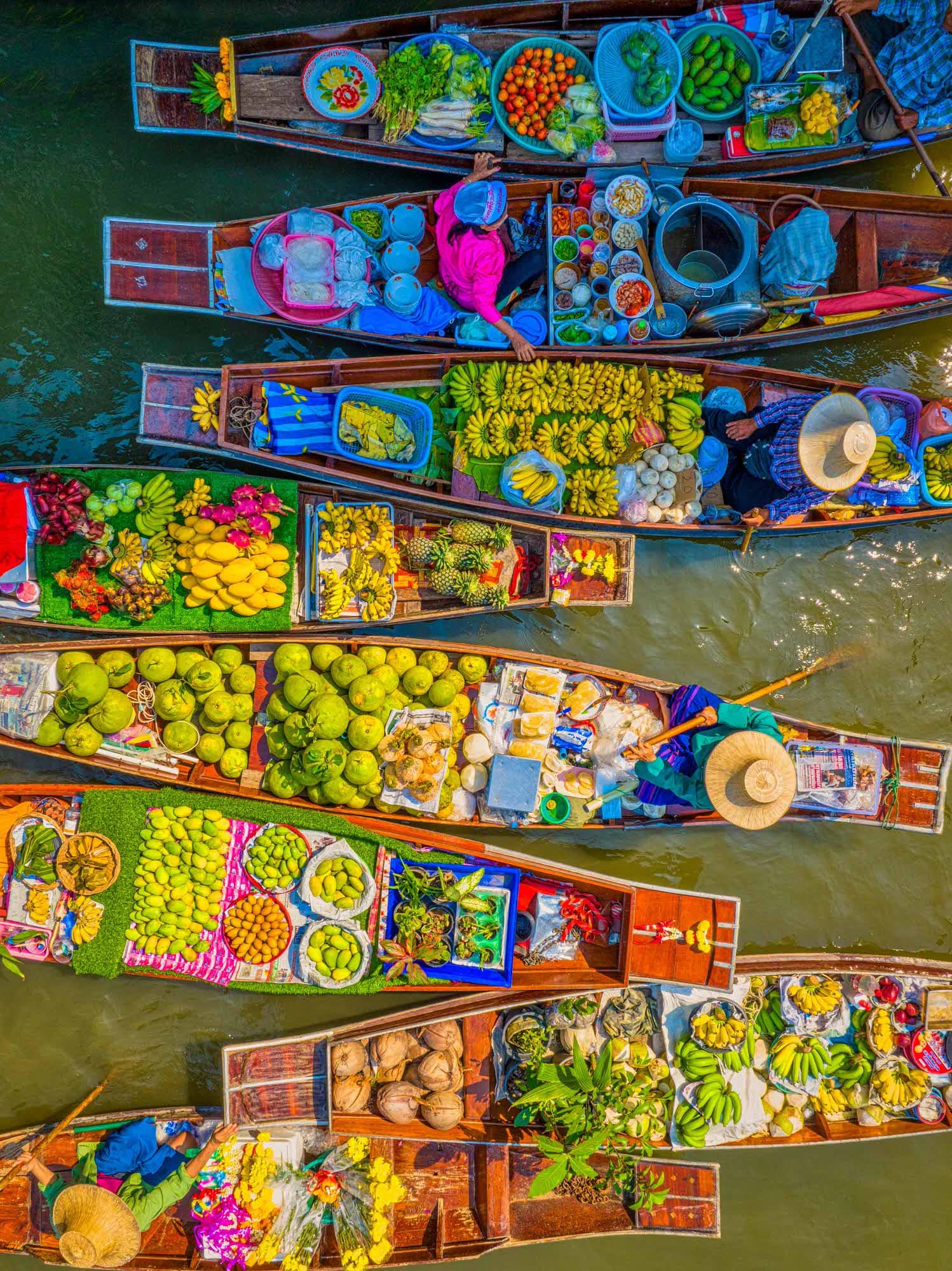 Merchants of the Tropics