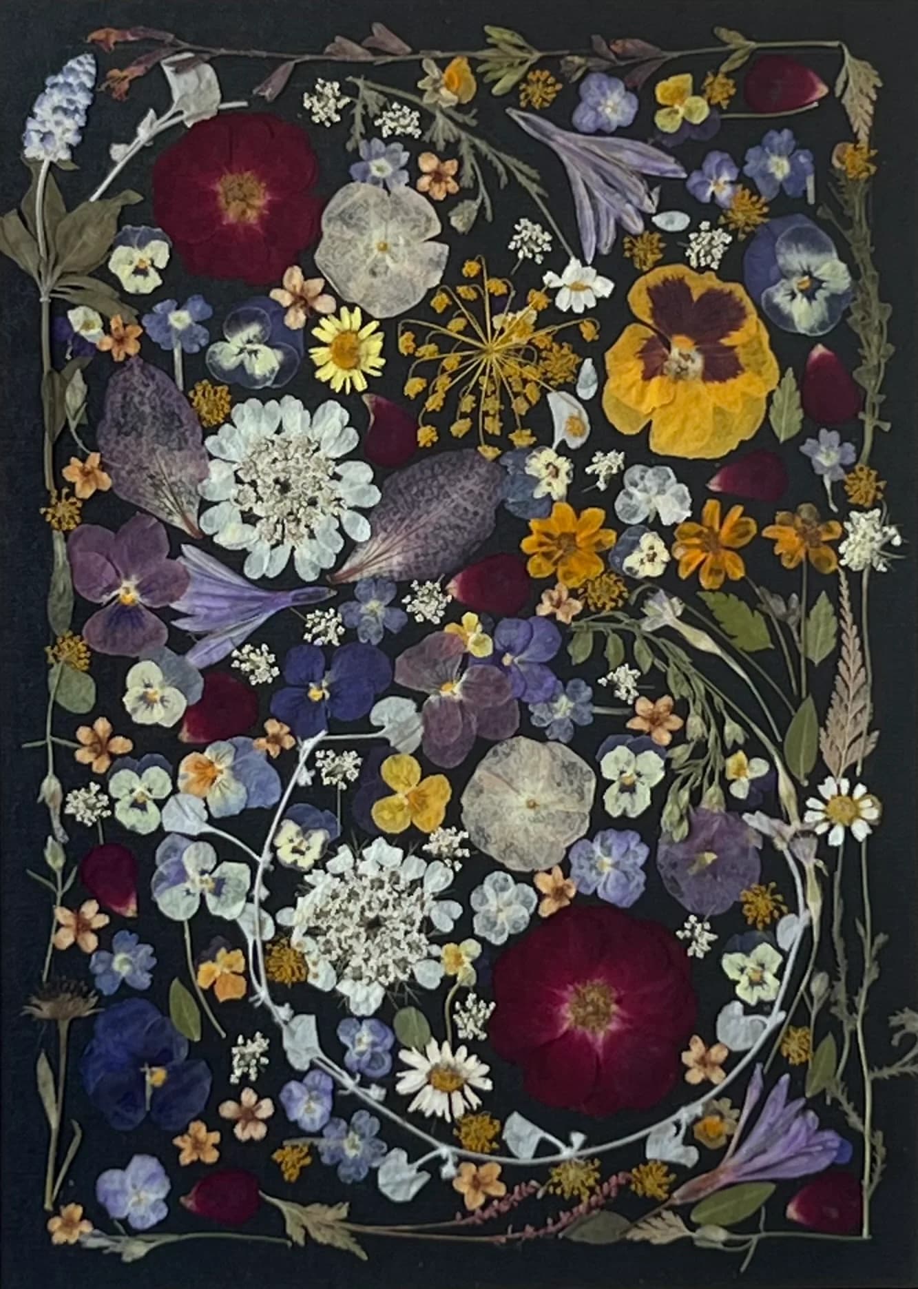 Pressed Garden Constellation