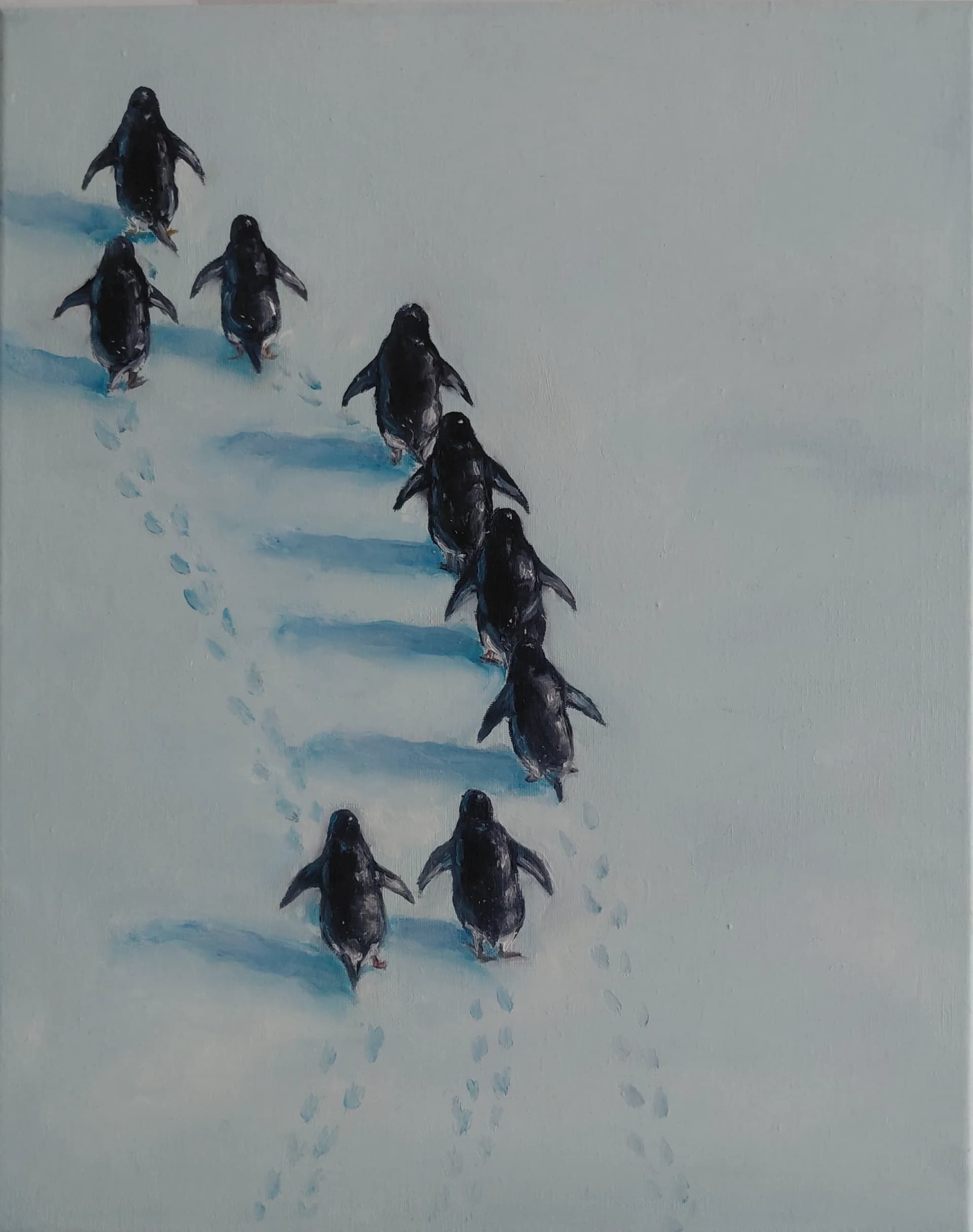 Penguin Trail