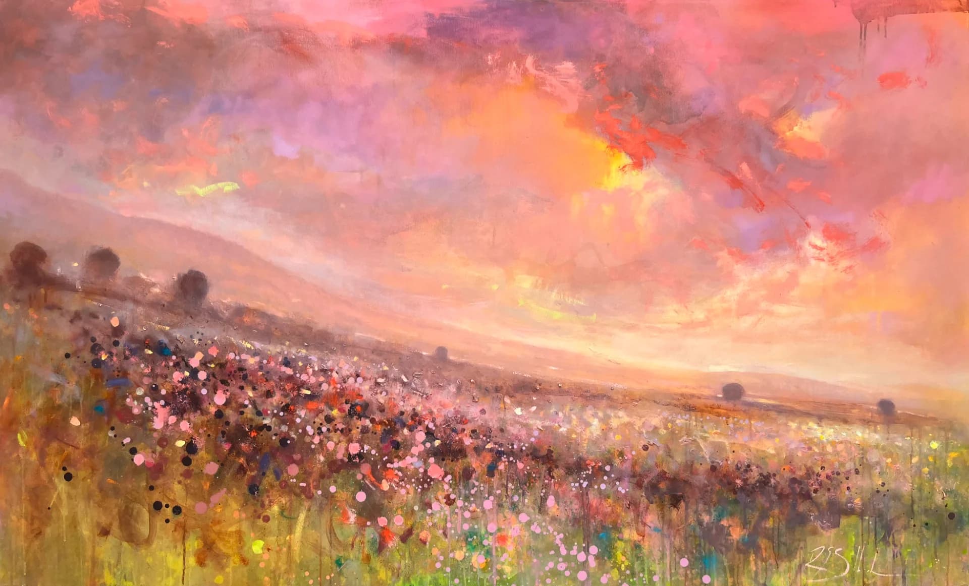 DUSK FIELD, HA ELLAH VALLEY