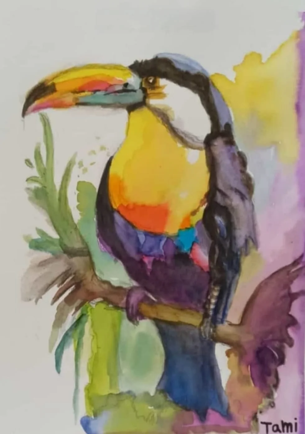 Colorful Toucan