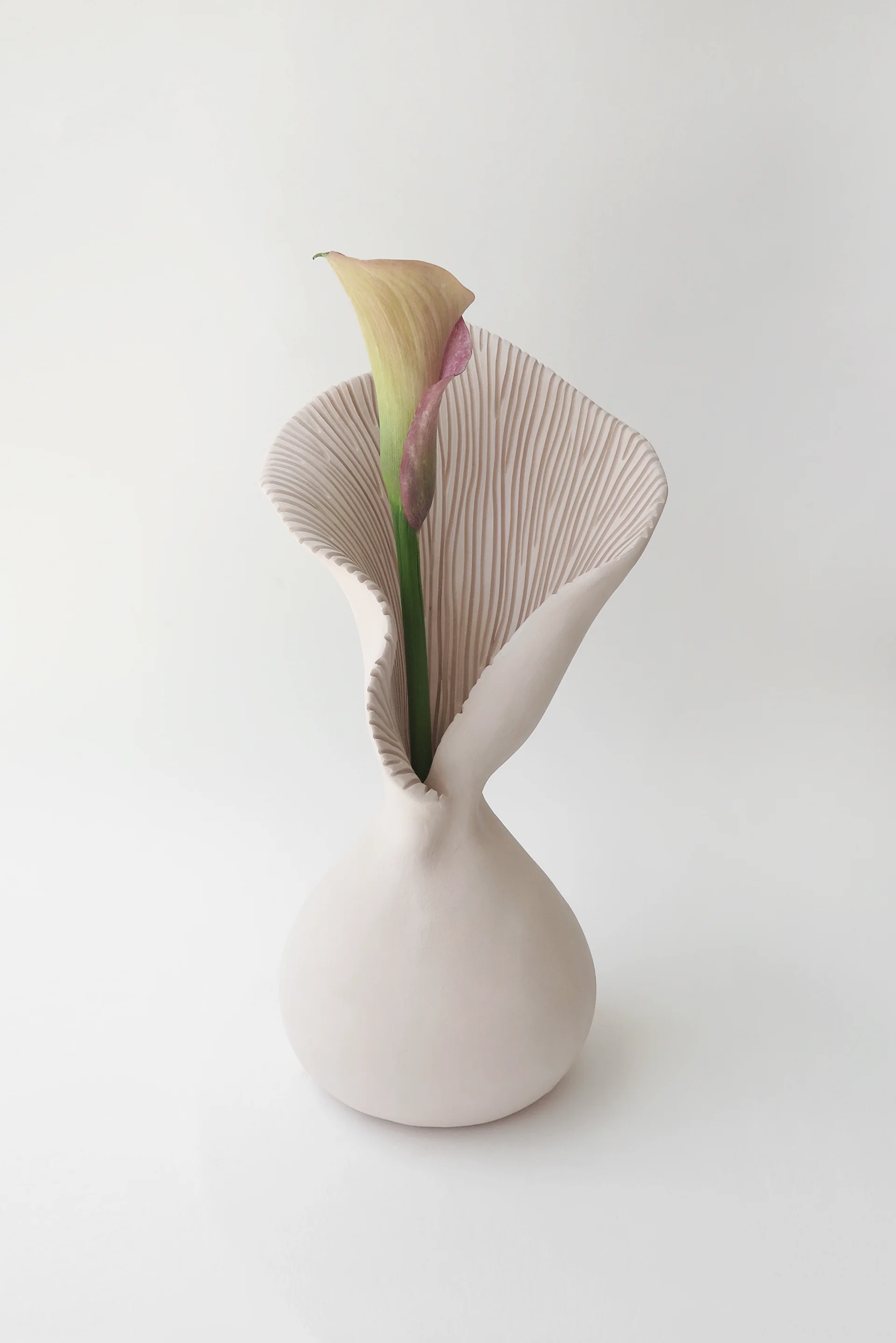 BETWEEN BLOOM & MEMORY // No.1 4