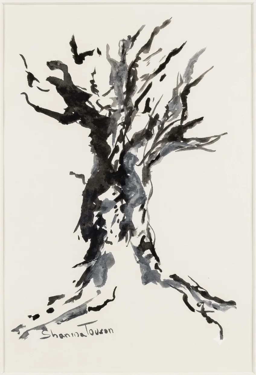 Olive tree