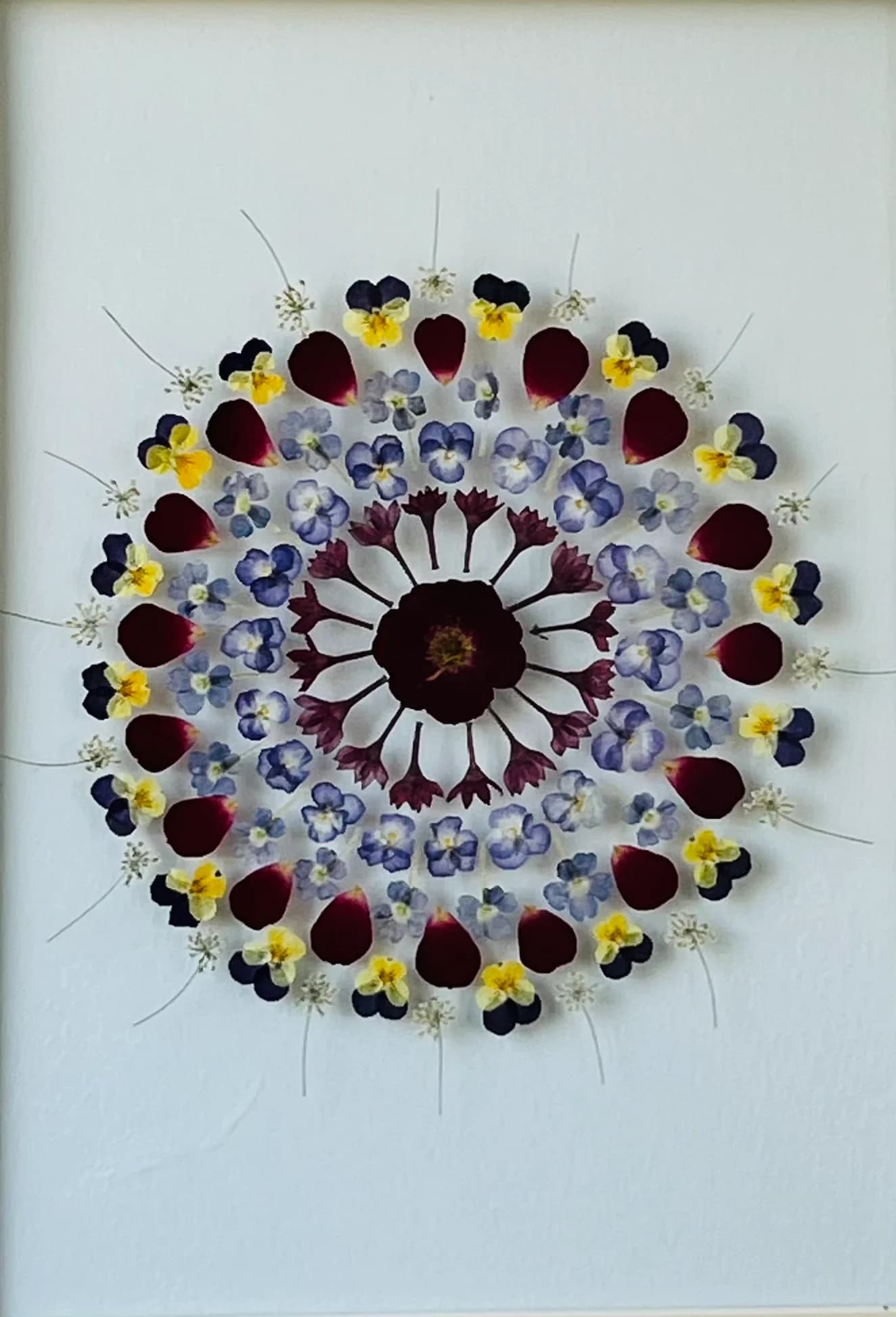 Floral Circle Study
