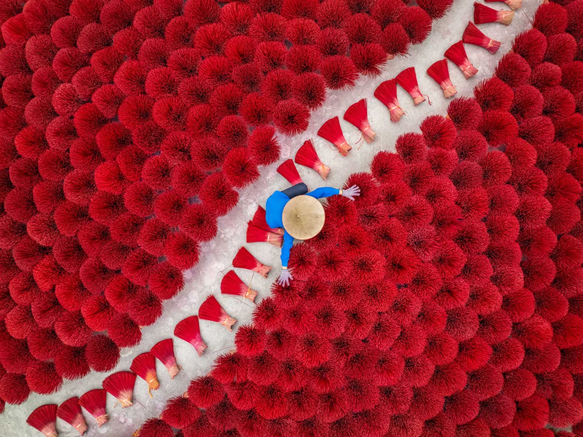 Red Harmony