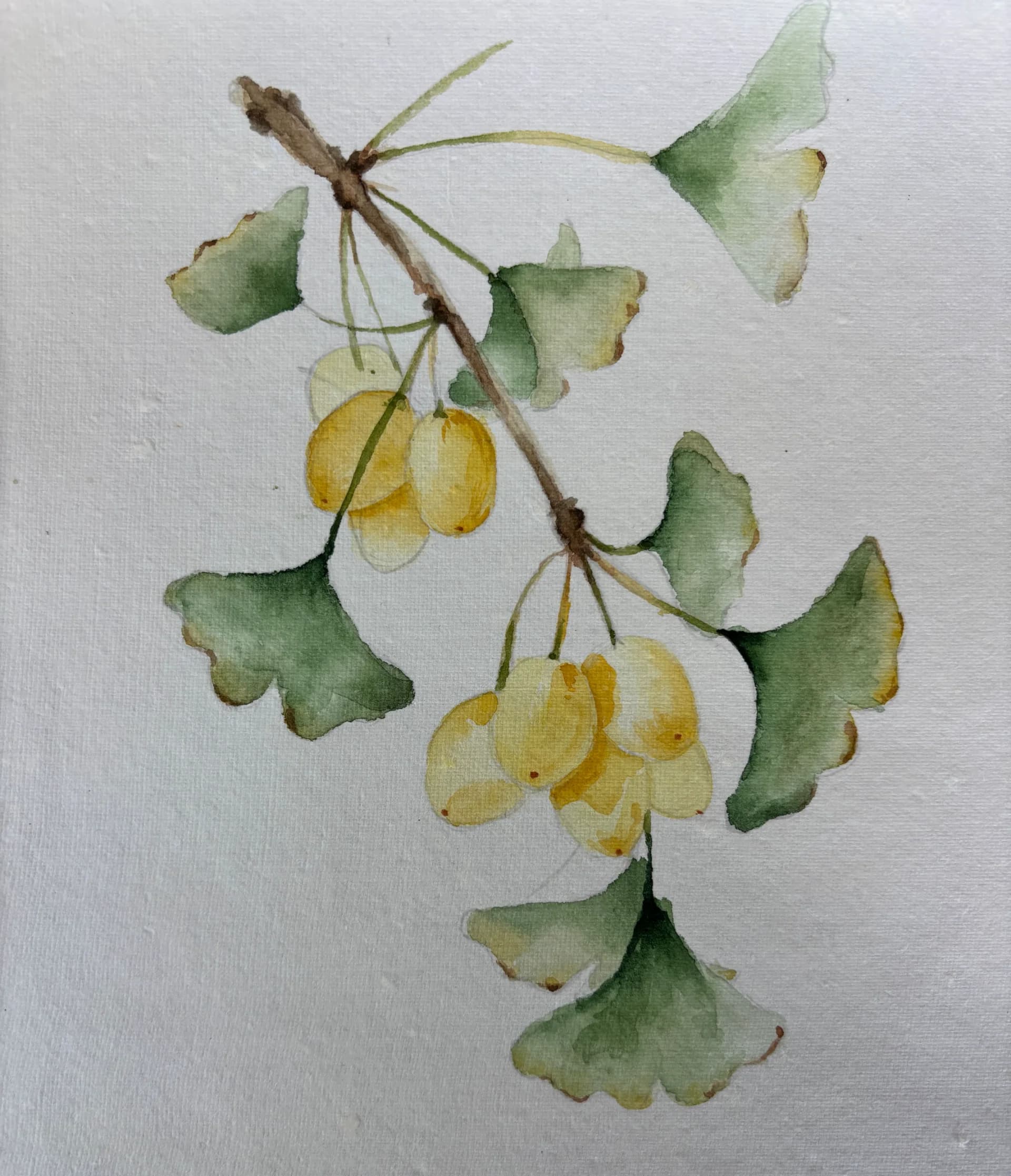 Yellow branch