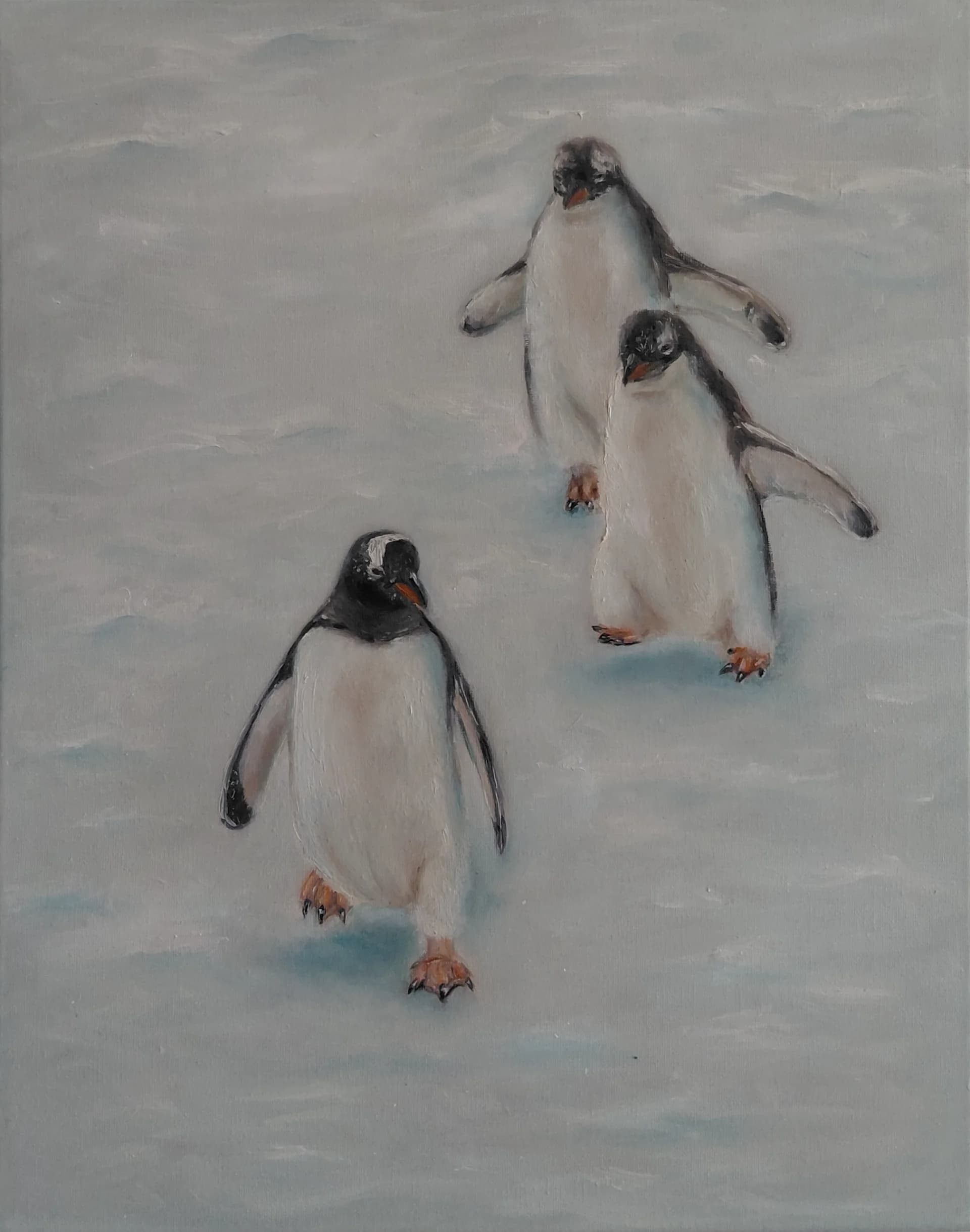 Three Penguins Crossing