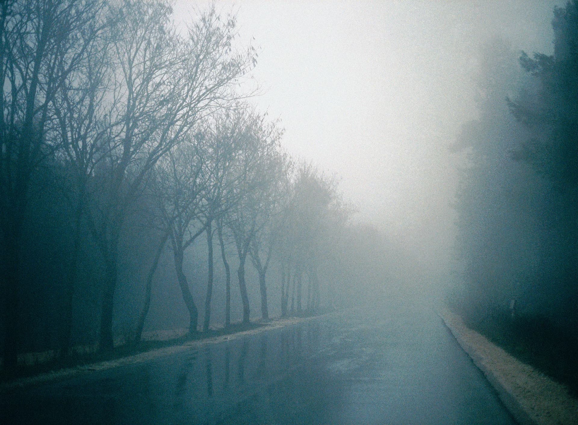 Into the Fog
