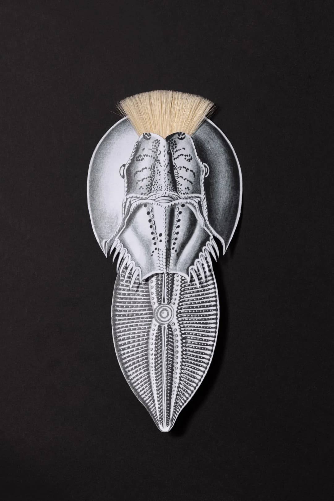 Alchemy of Paper