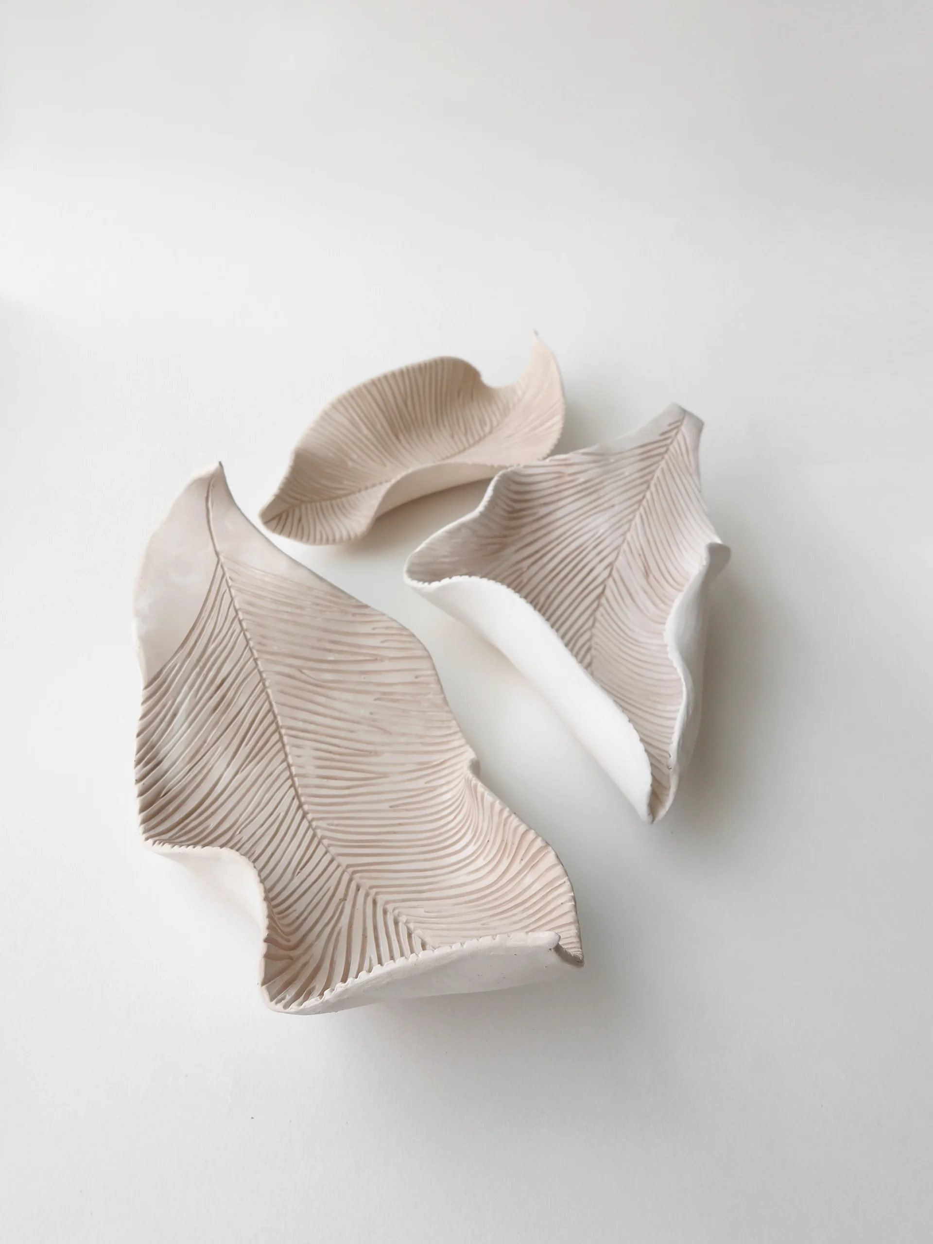 BETWEEN BLOOM & MEMORY / M LEAF