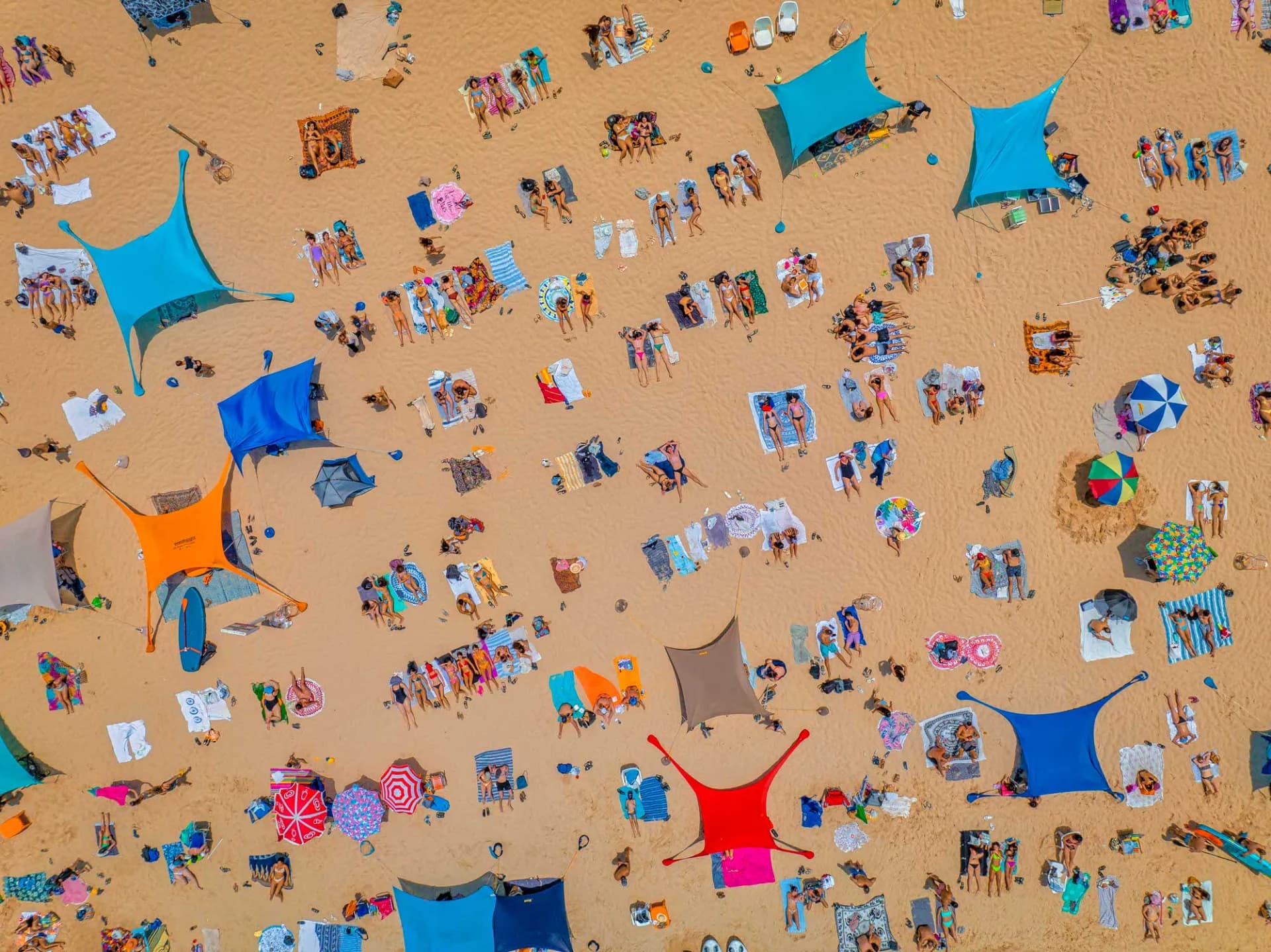 Texture Tales of Summer Dreams