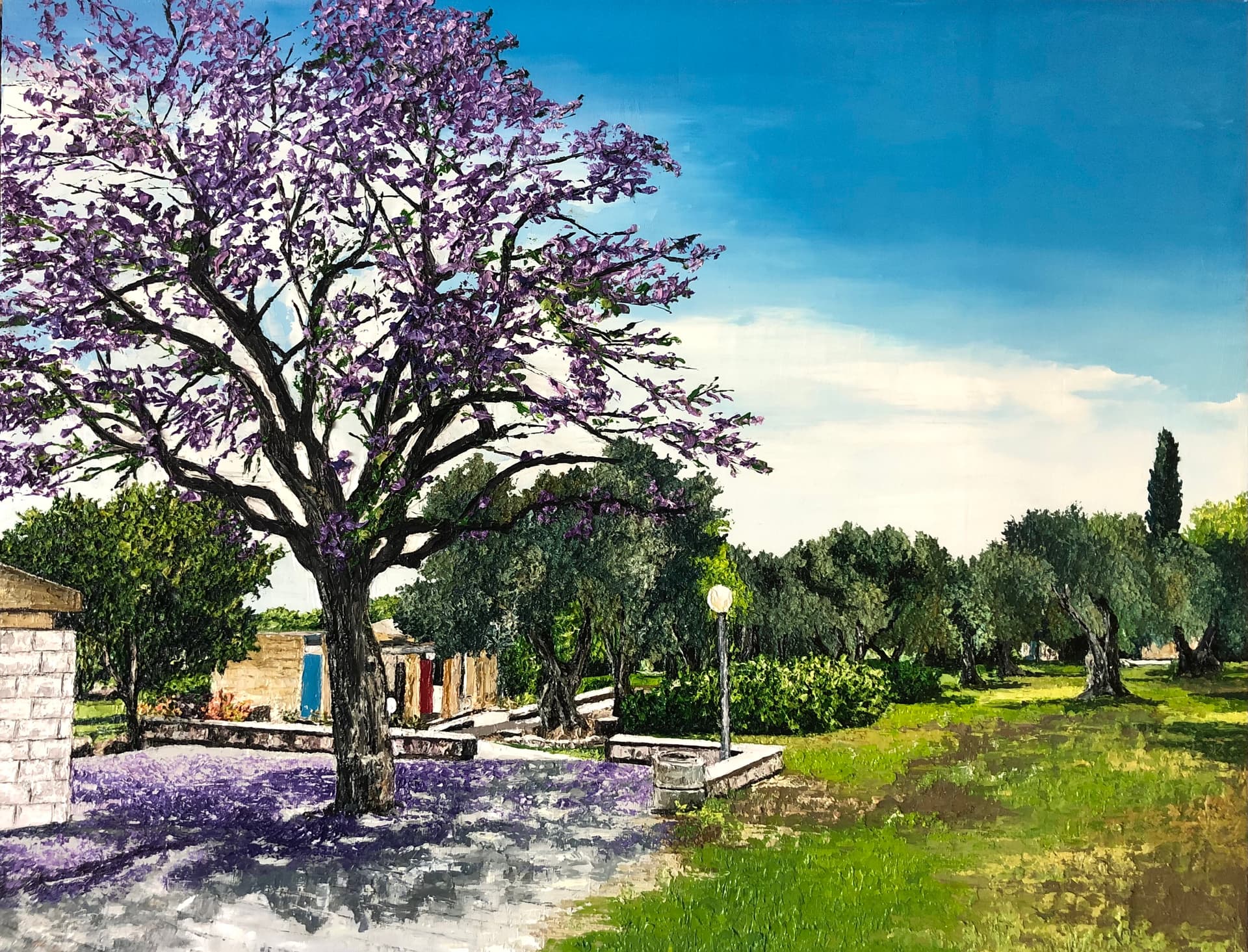 Jacaranda tree and Olive trees at Bet haemek