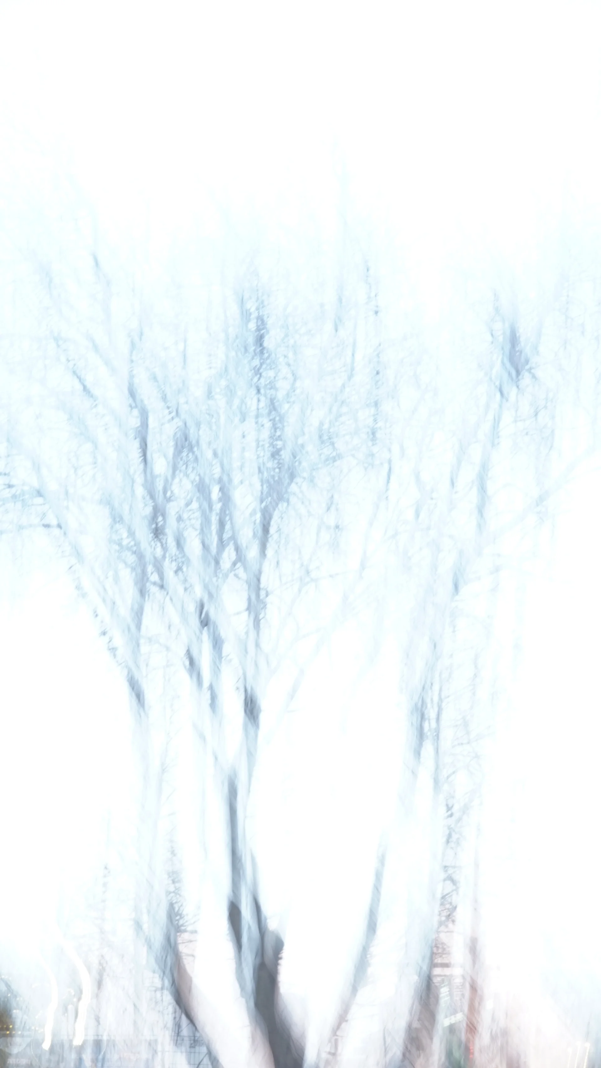 Lucid dream