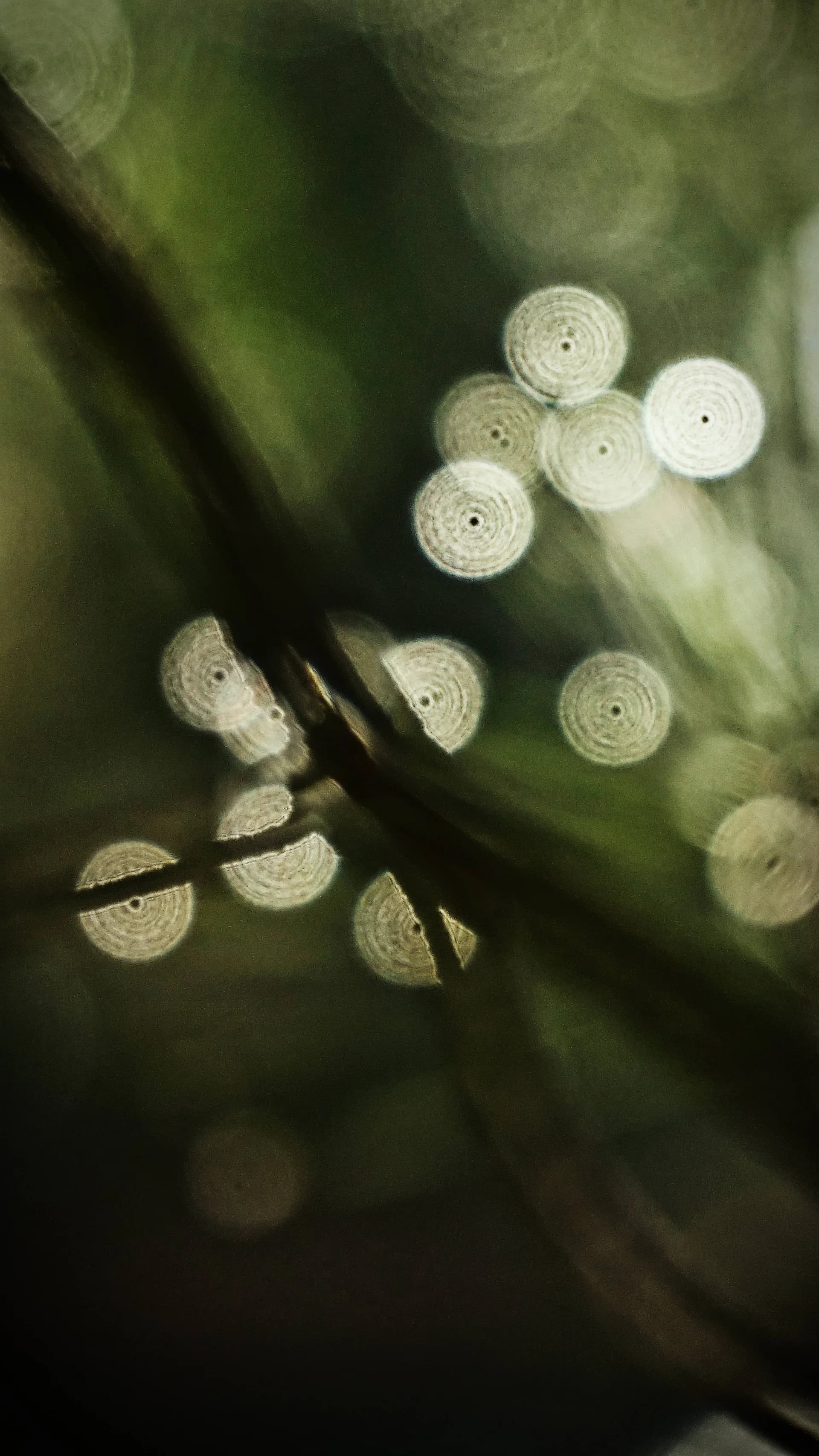 Rainy Day