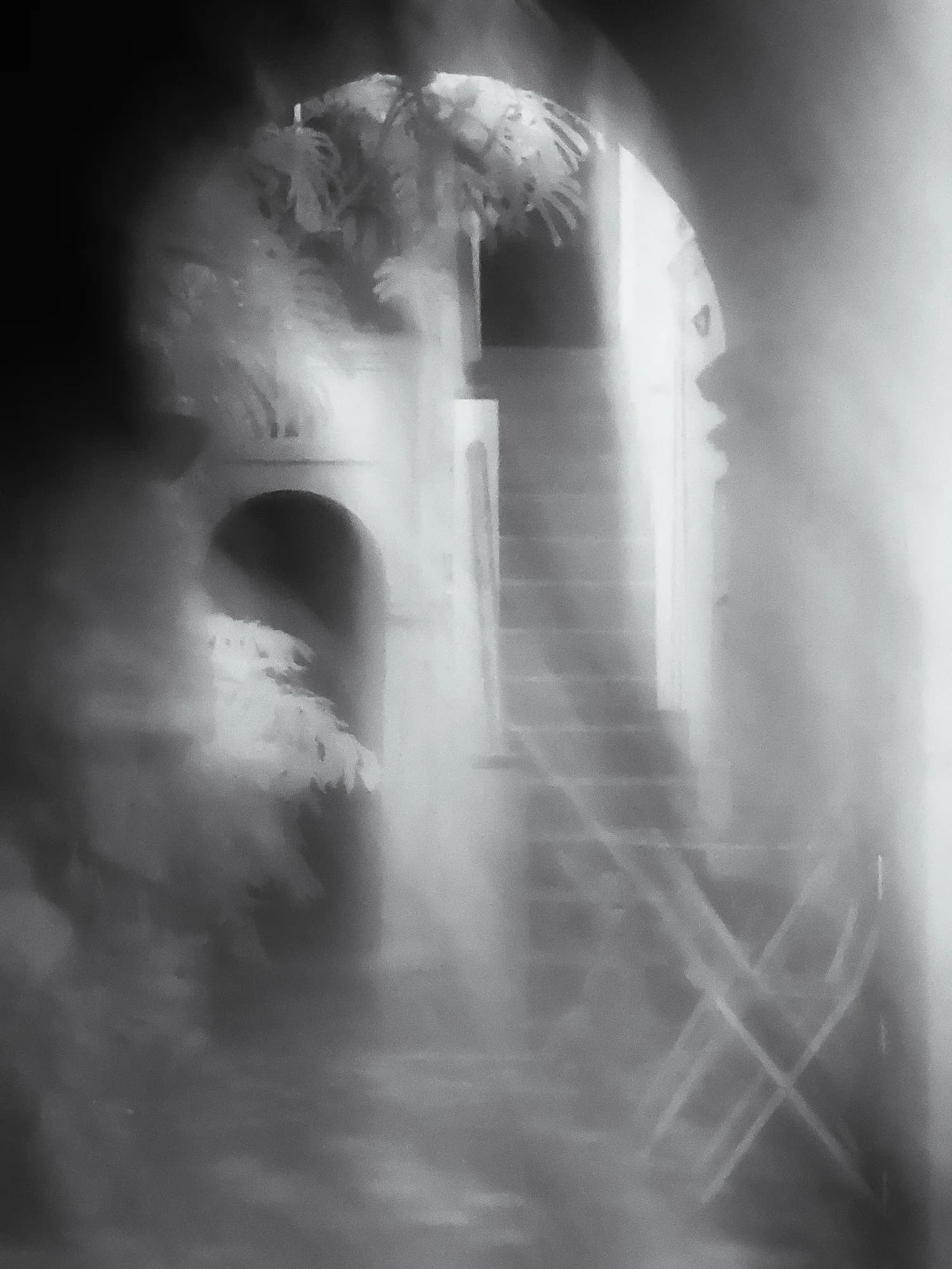 Echo of Time