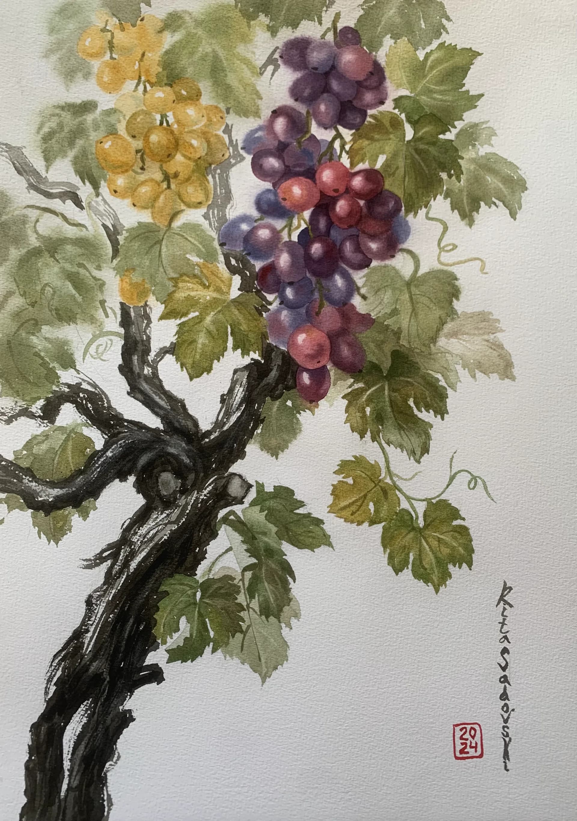 Vine