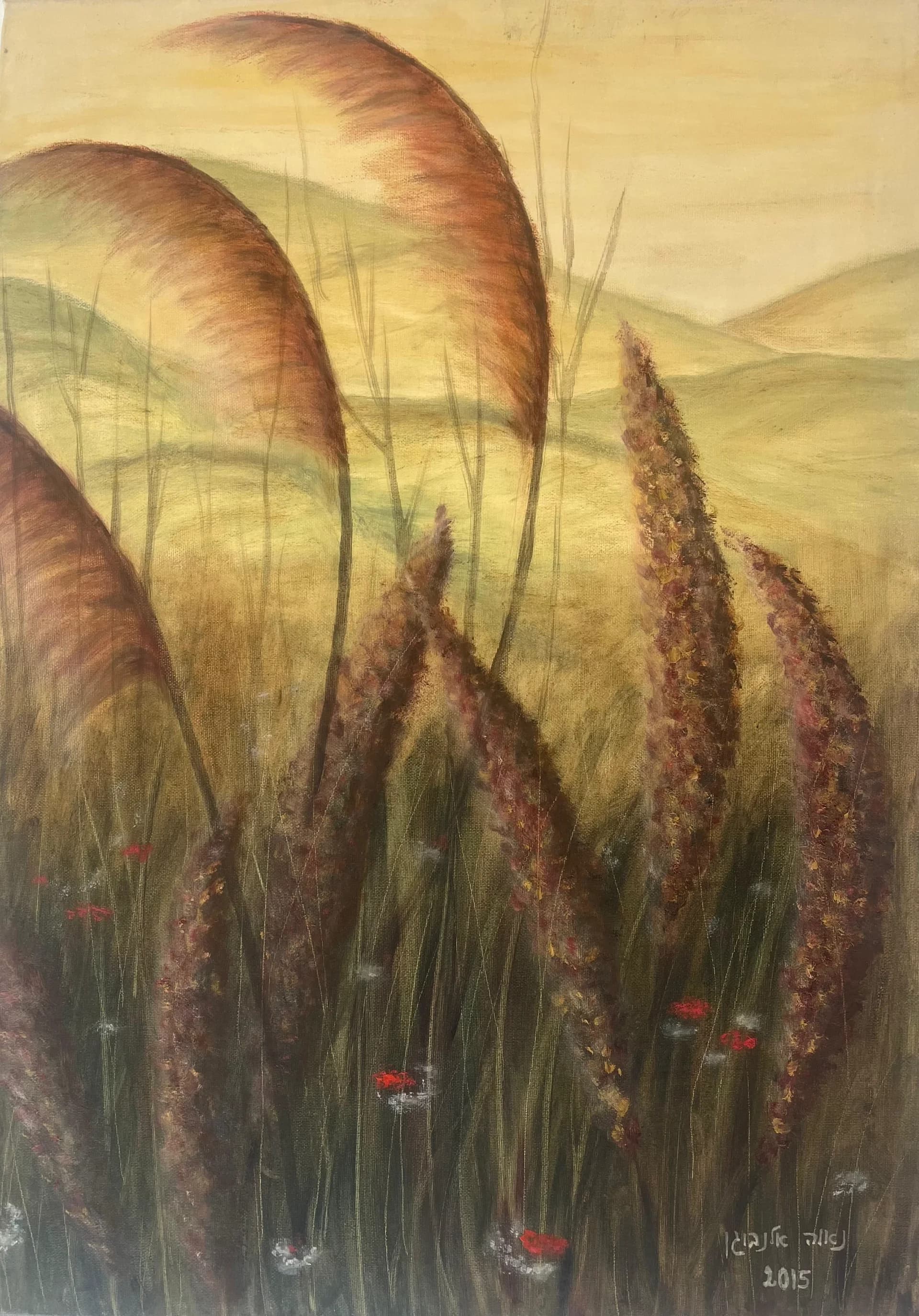 Summer field 2