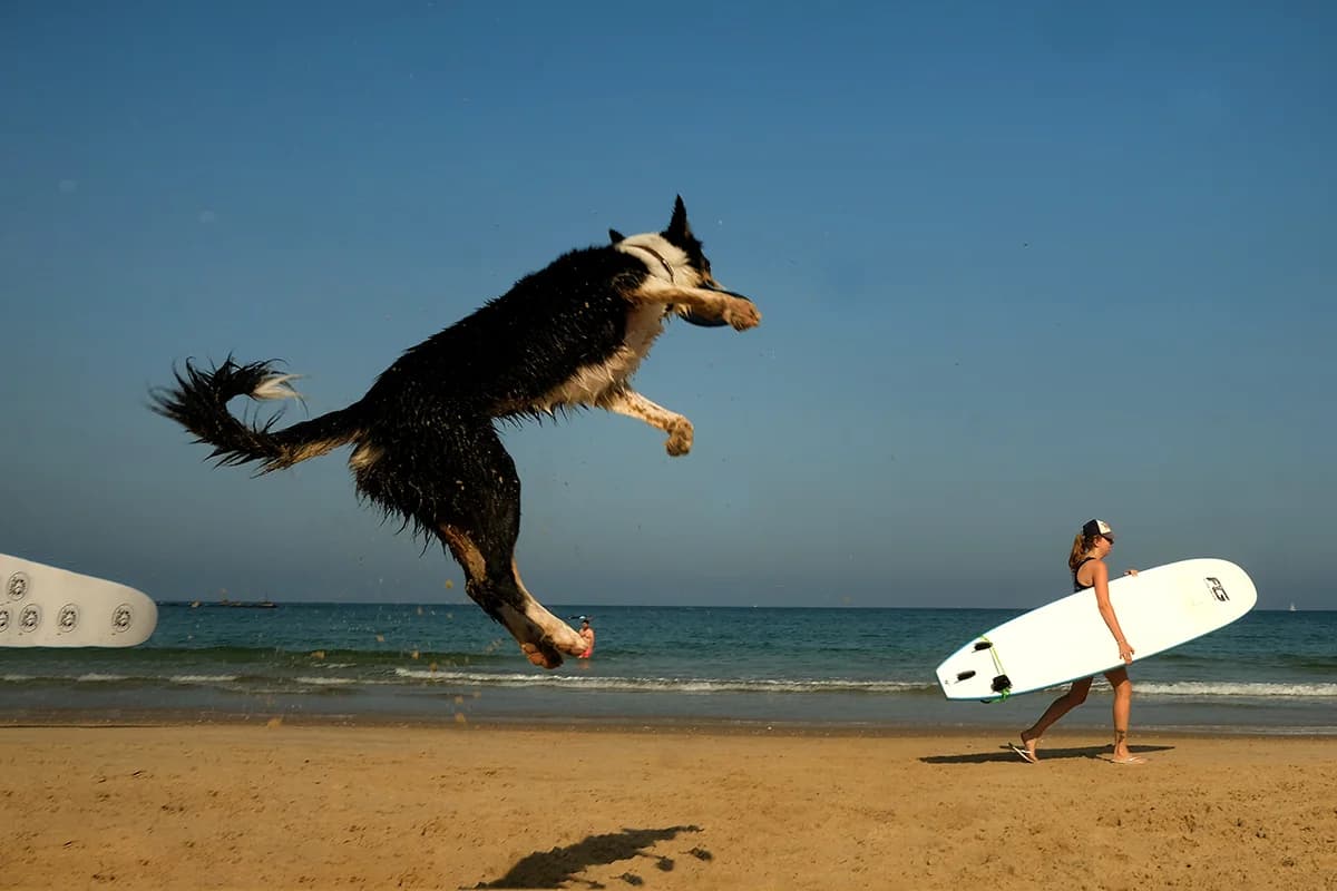 Jump of happiness