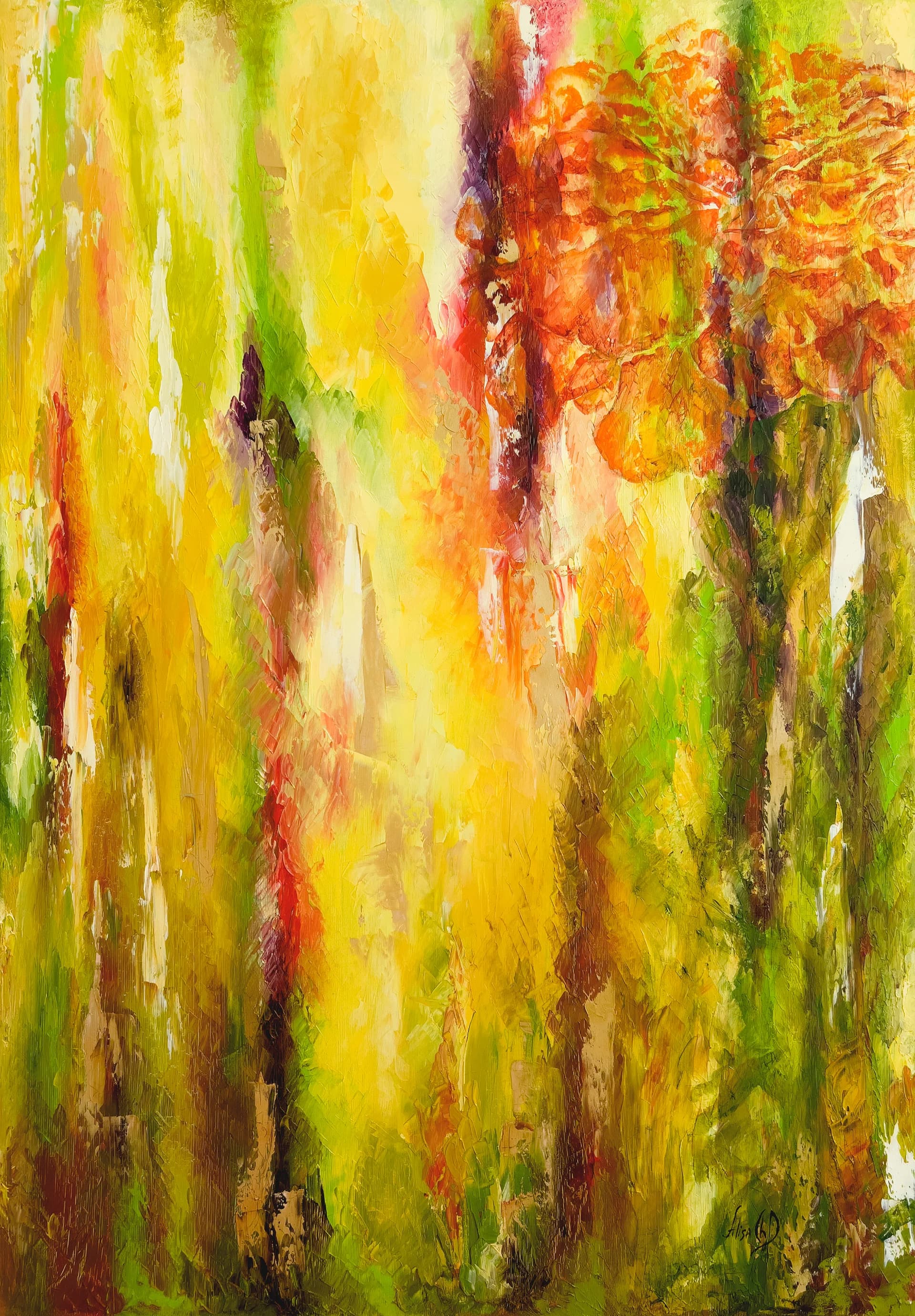 "Magical Forest"