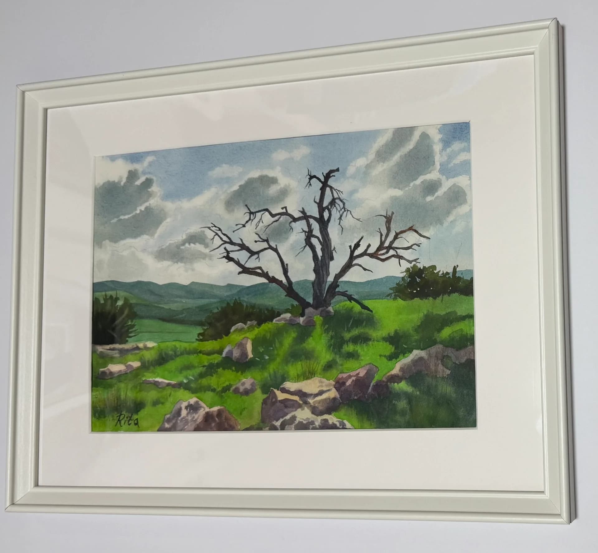 Dry tree on the hill 2