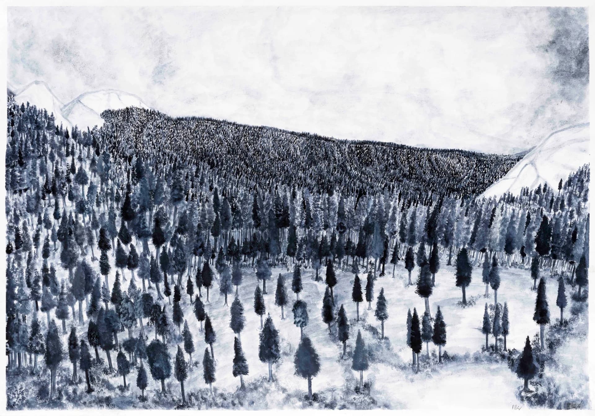 THE BLUE FOREST