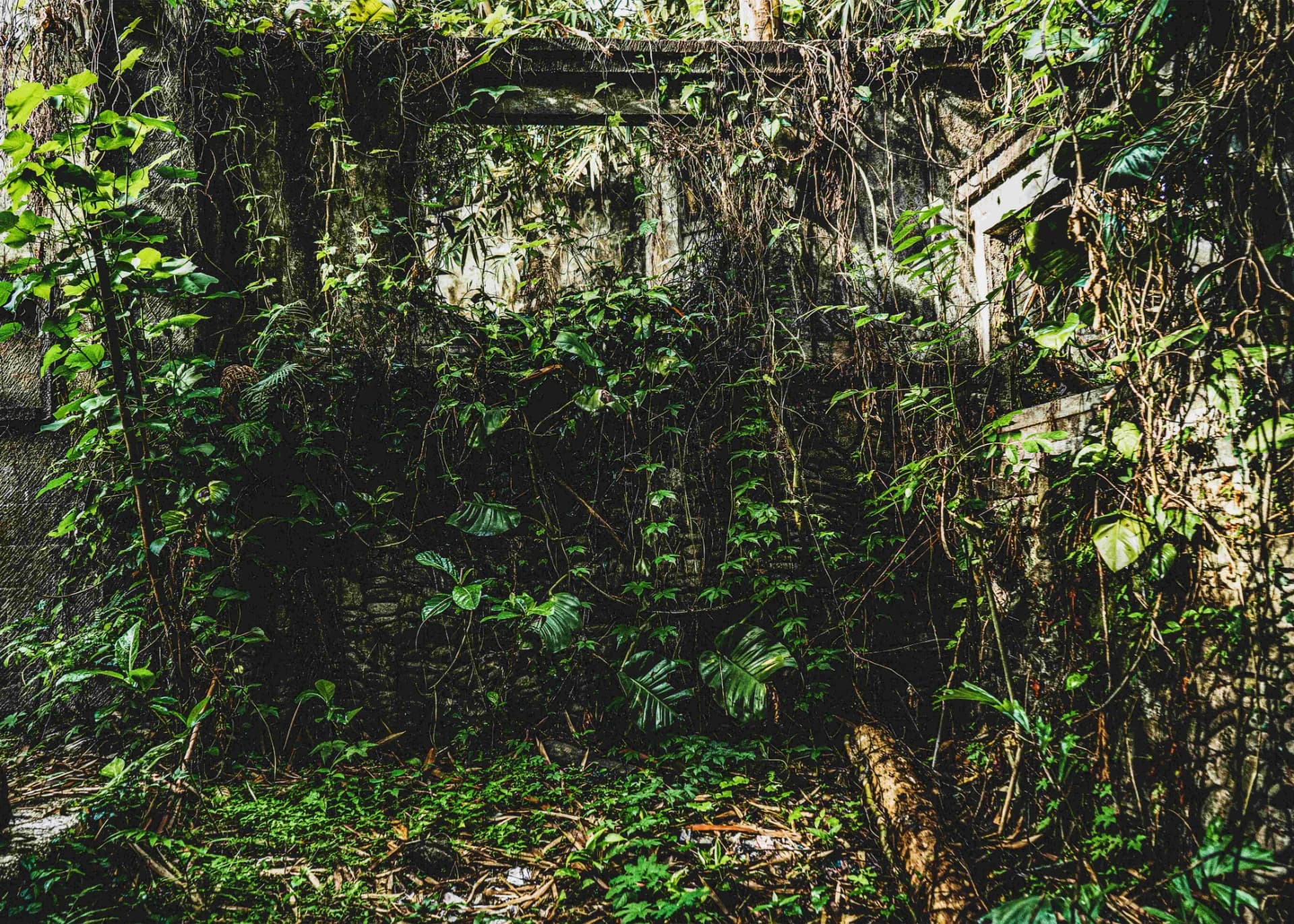 RUIN REVIVAL