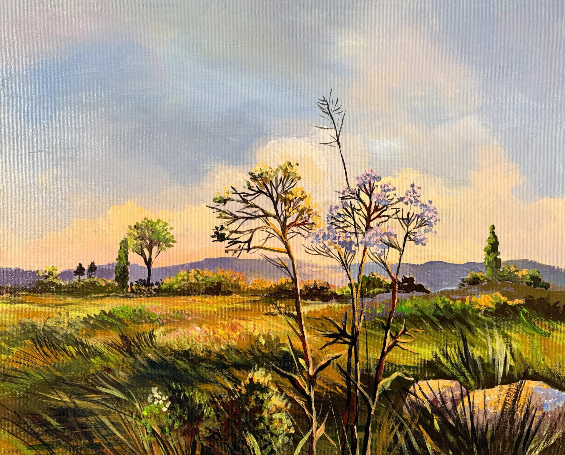 Wild Grasses
