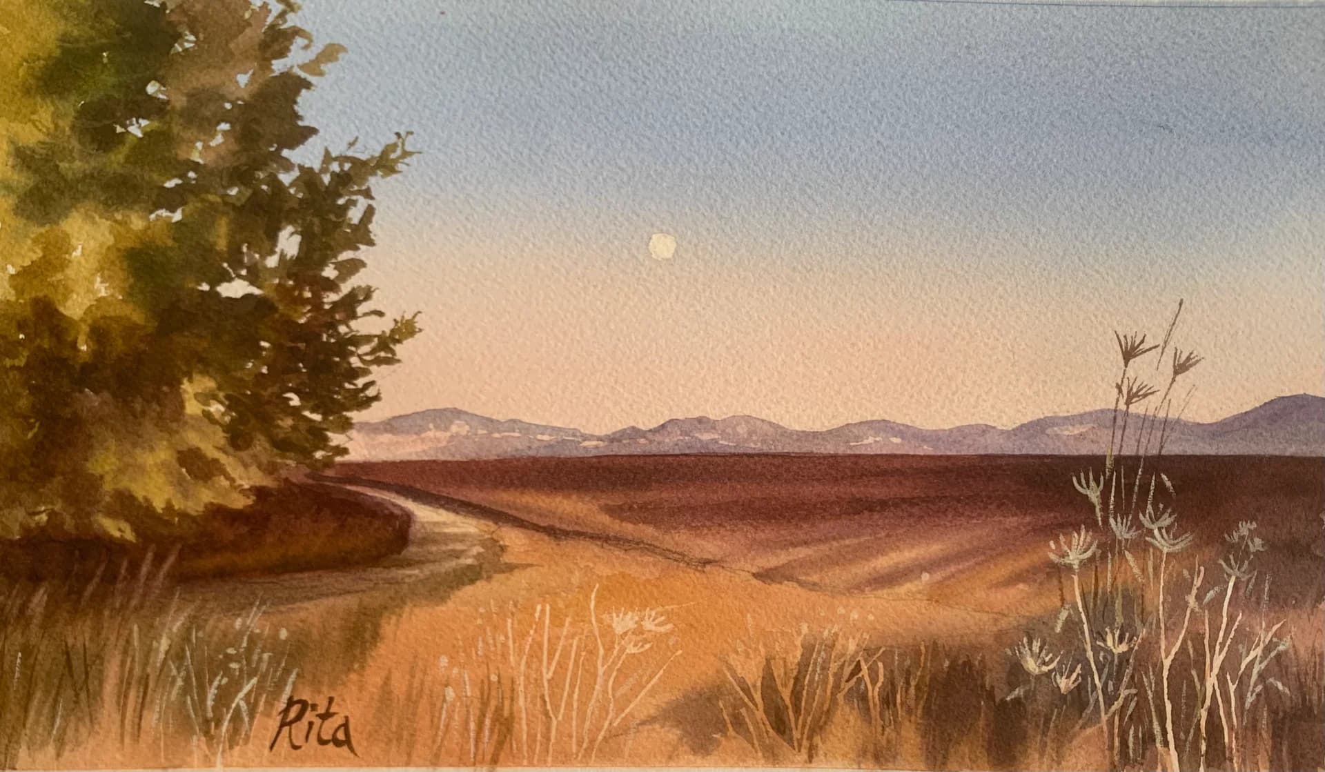 Sunset in the Ayalon Valley