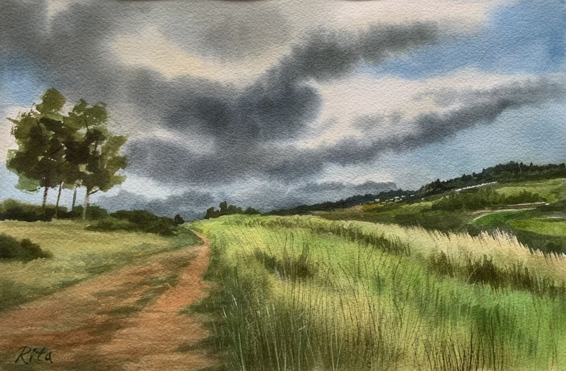 Before the rain