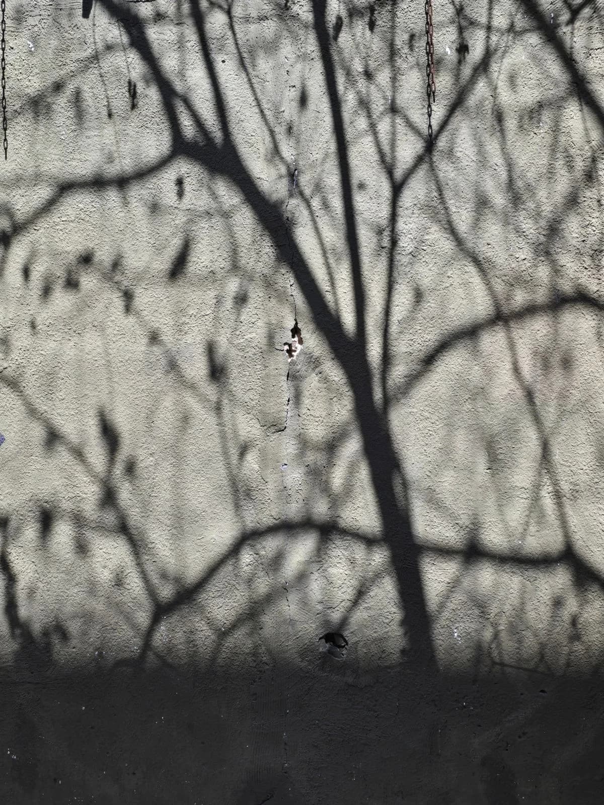 a shadow on broken wall