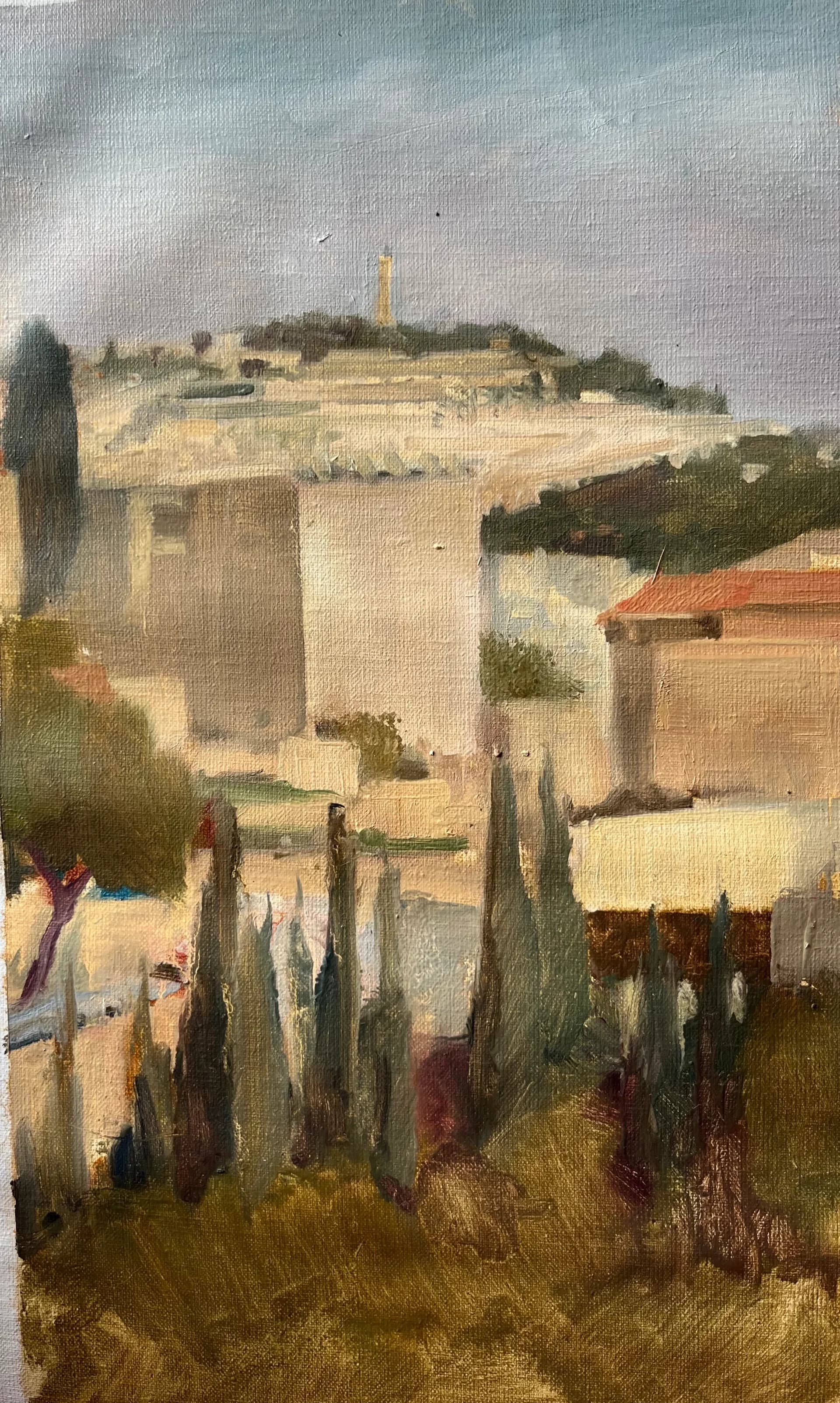 נוף להר הזיתים