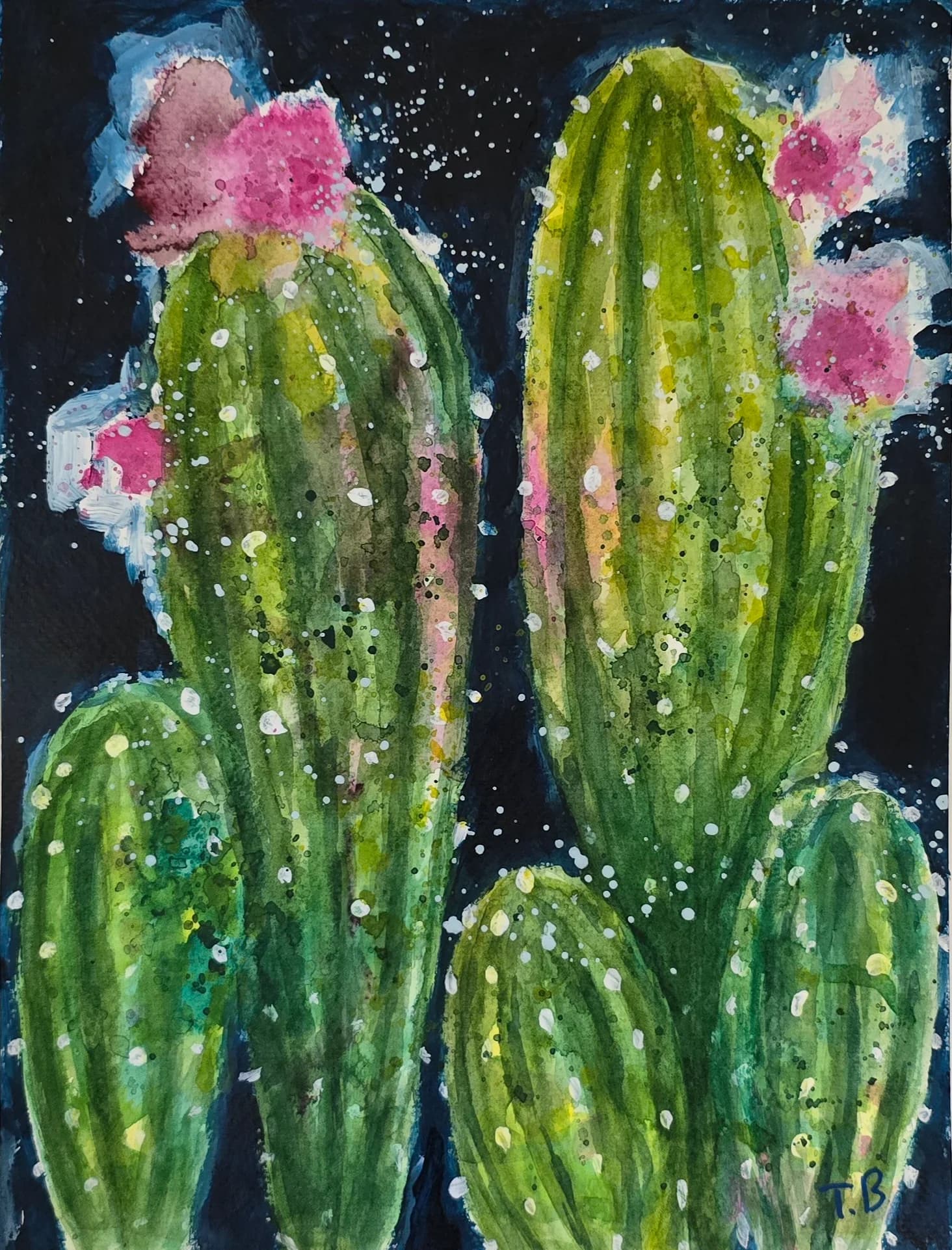 Cacti