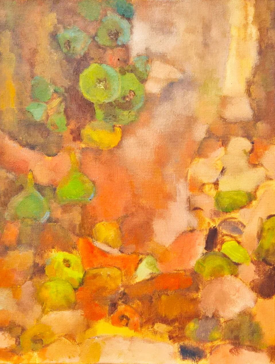 Ficus Gold: Midday Warmth