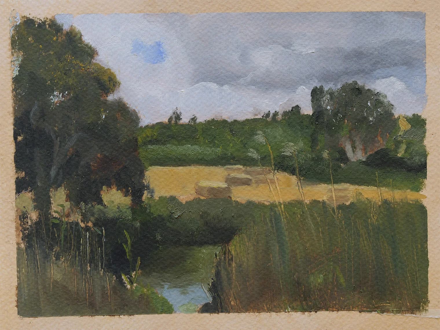 Winter Fields
