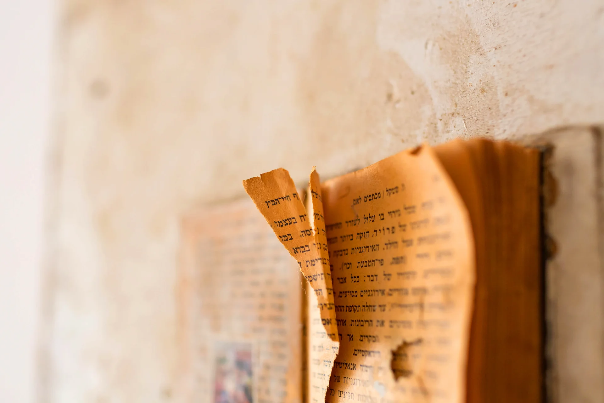 A Word In The Book