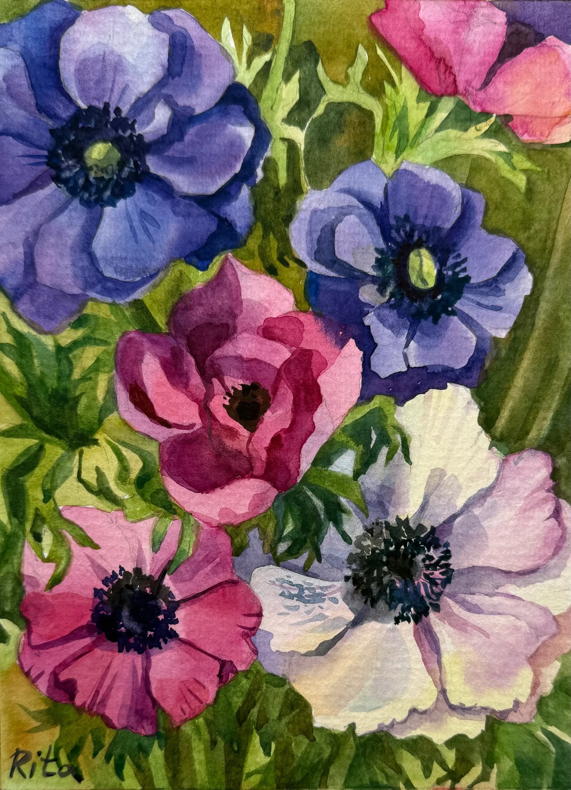 Anemones
