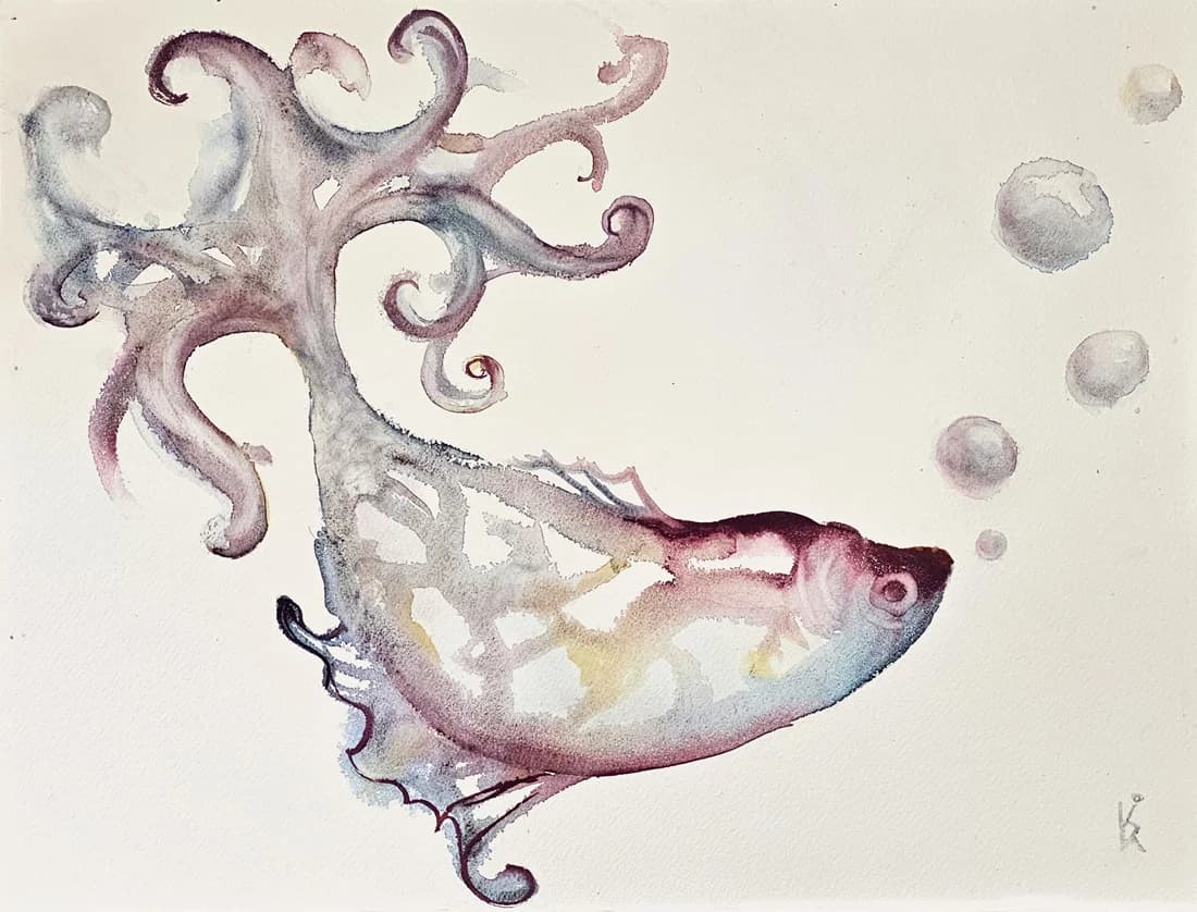 Dreamborne Echo