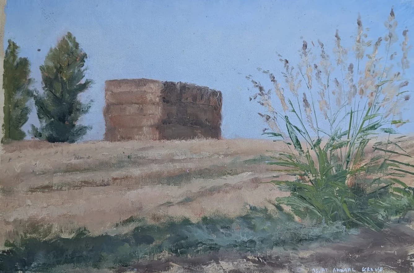 Hay Bales with Wild Grass