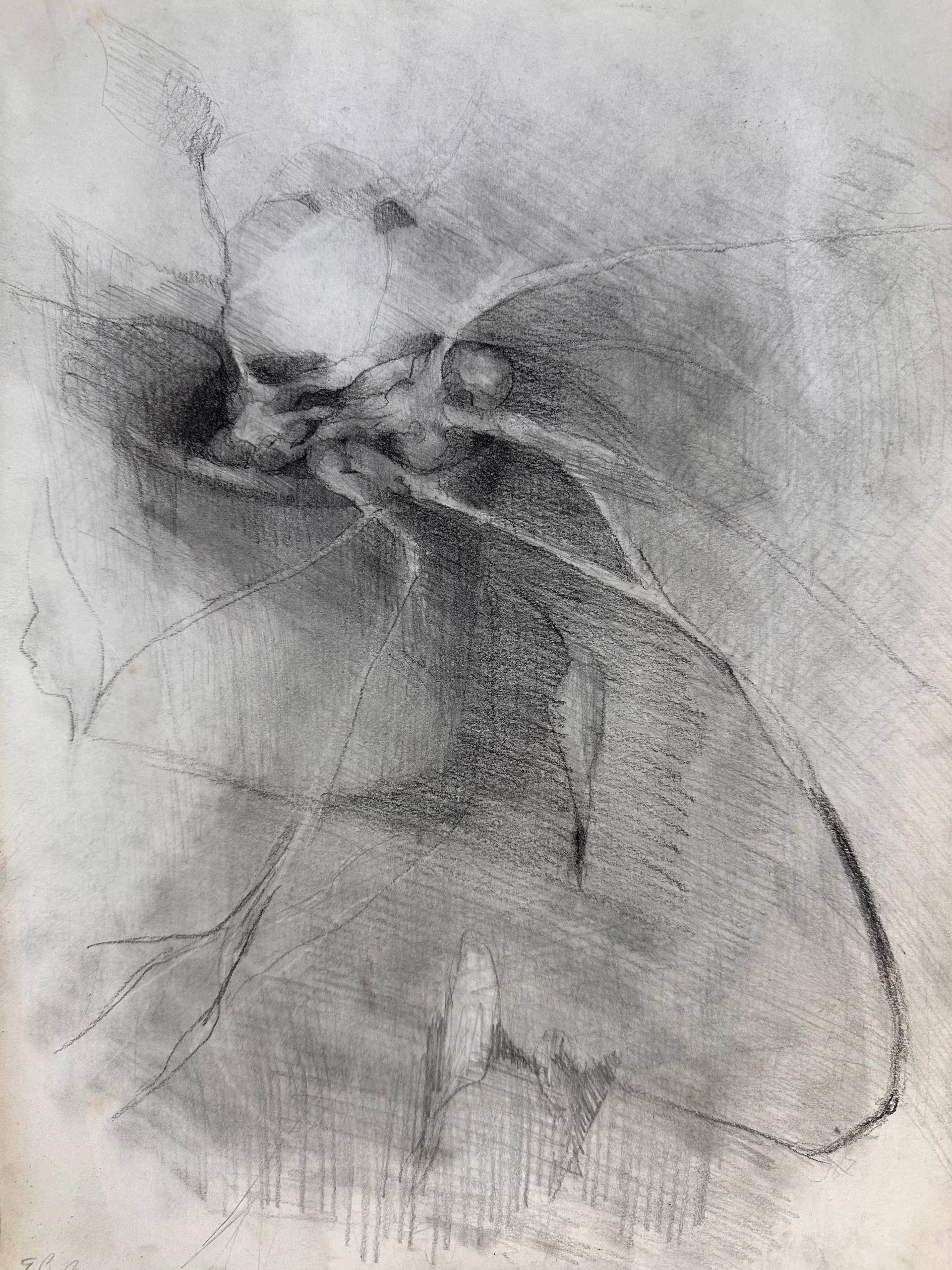 Root Study