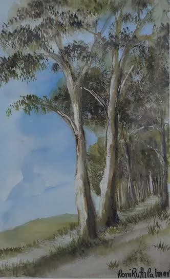 The eucalyptus path beside the road