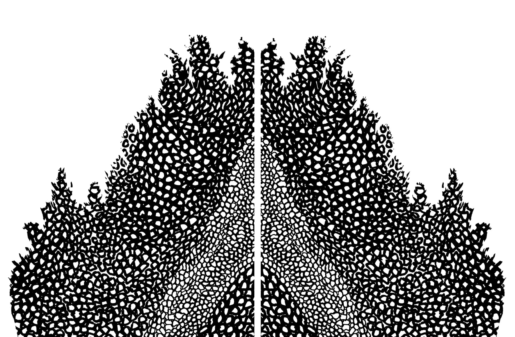 Volcano Diptych Black and White (Medium)
