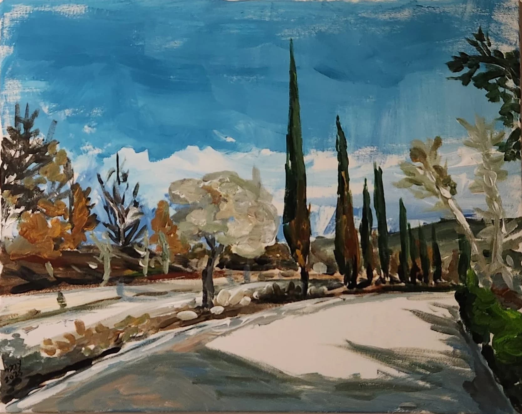 The growth after the fire - cypress trees