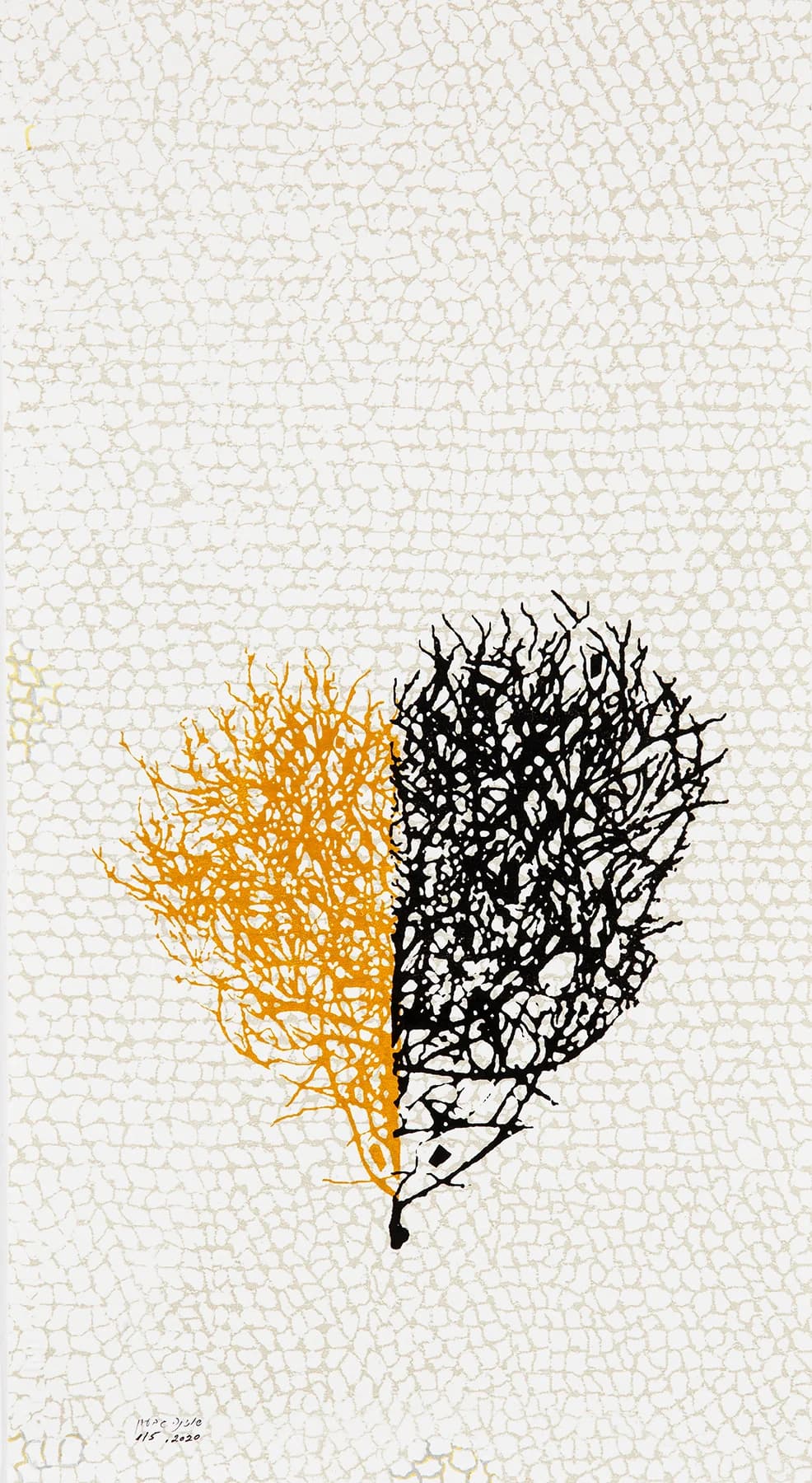 לב סירה שחור-אוקר, רשת כסף (בינוני) 5/5