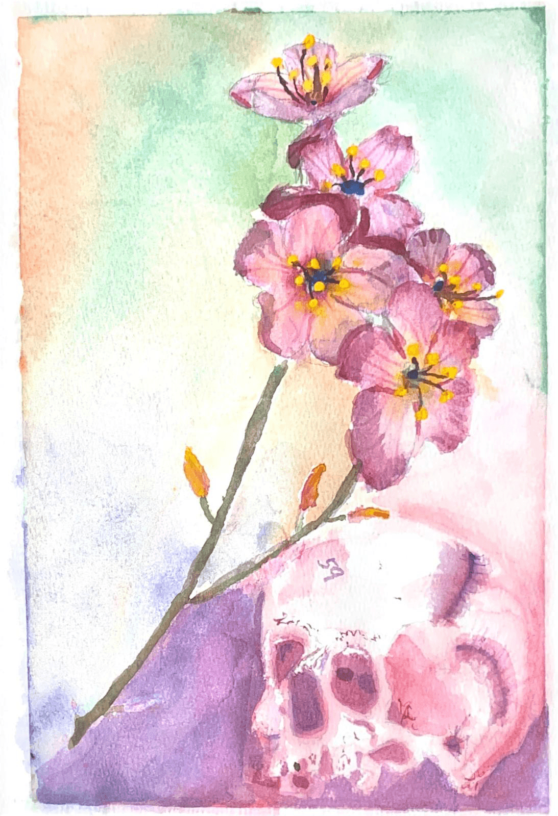 Blossom and Bone memento mori