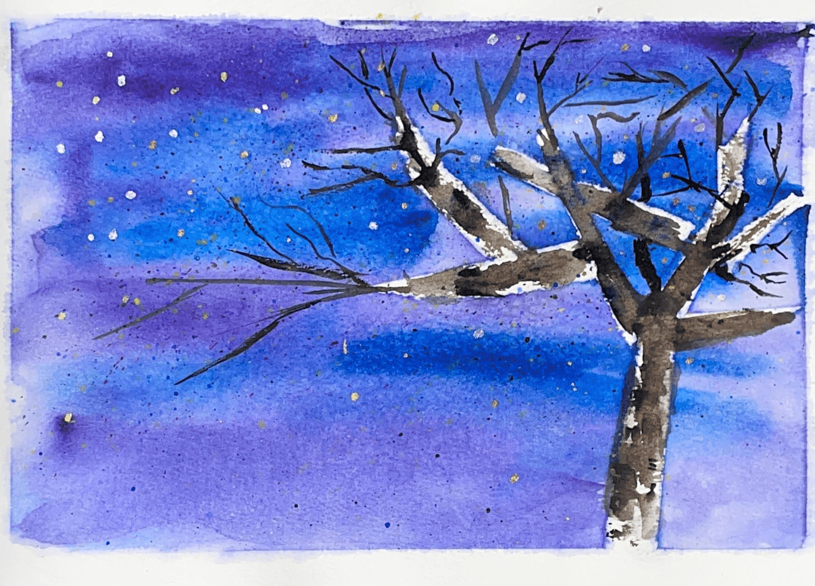 Winter Branches at Dusk