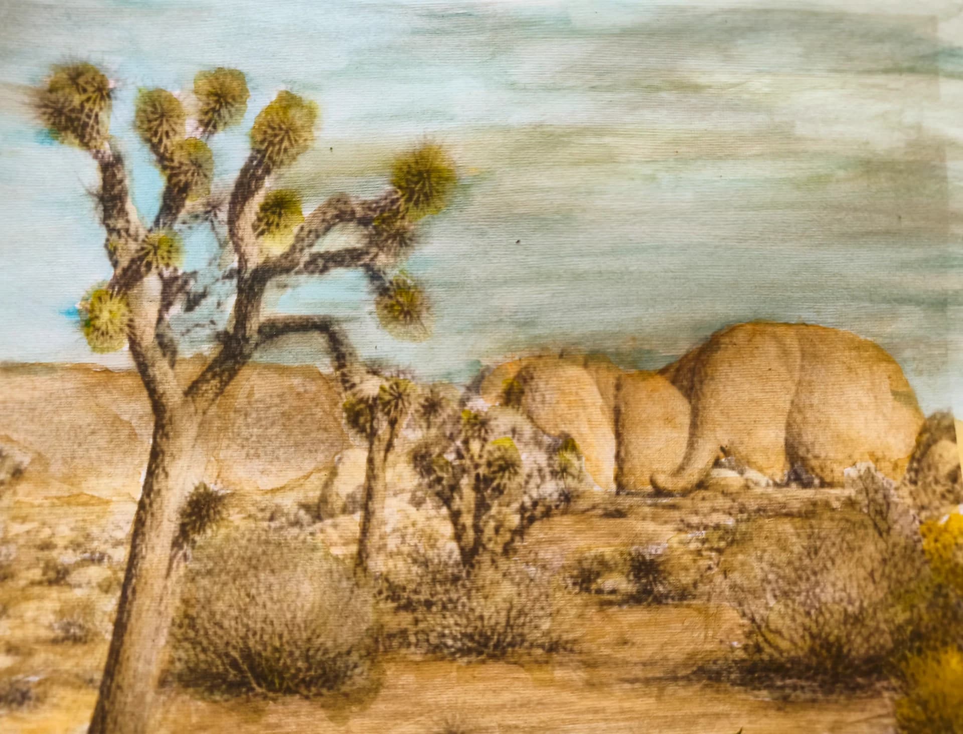 Desert Quiet Horizon