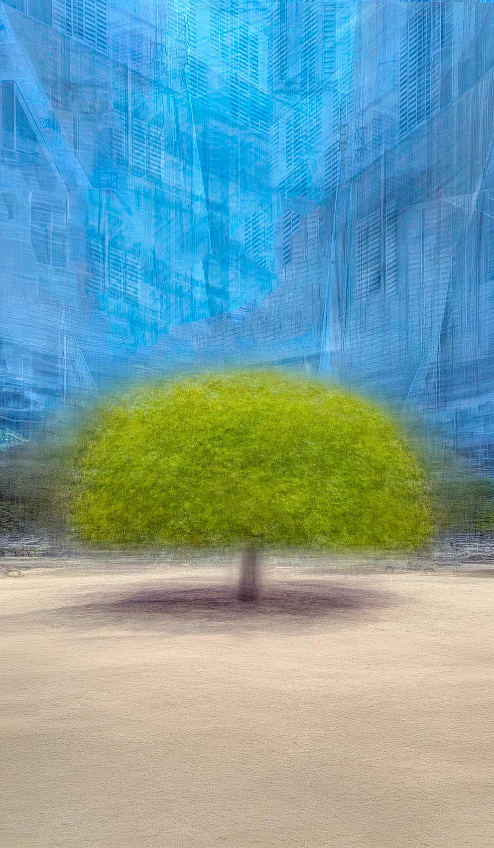 Urban Dream